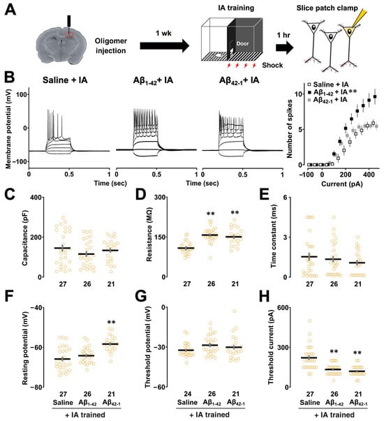 Biomolecules 14 01425 g002