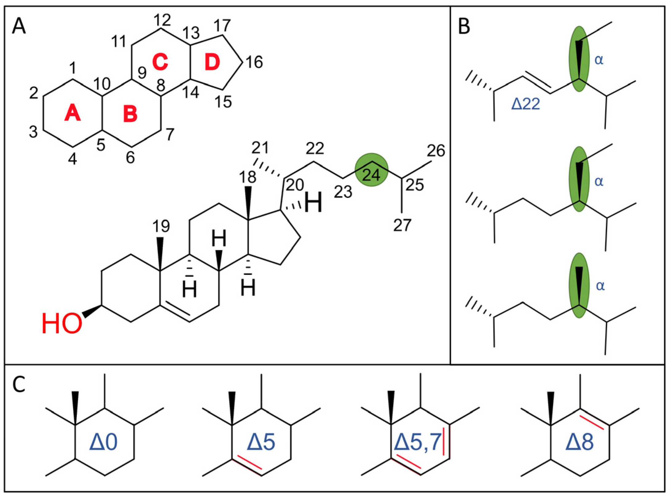 Biomolecules 14 01435 g001 Biomolecules 14 01435 g001