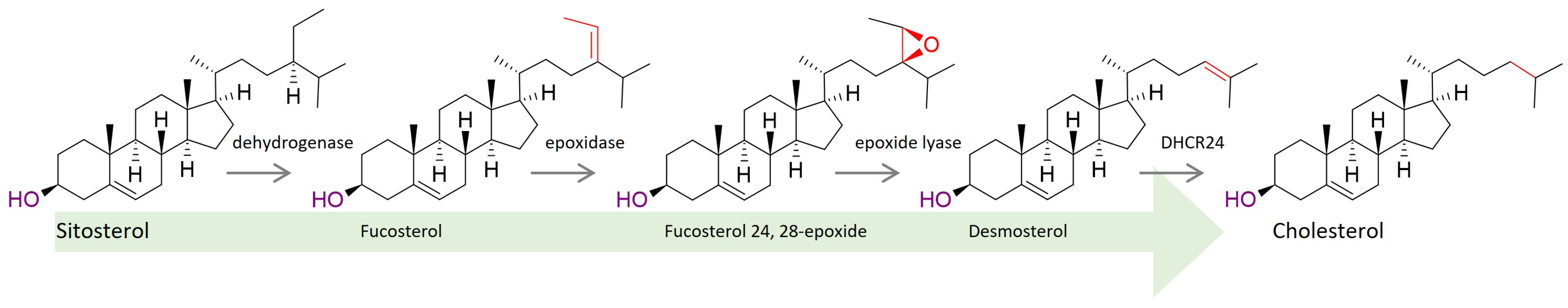 Biomolecules 14 01435 g003 Biomolecules 14 01435 g003