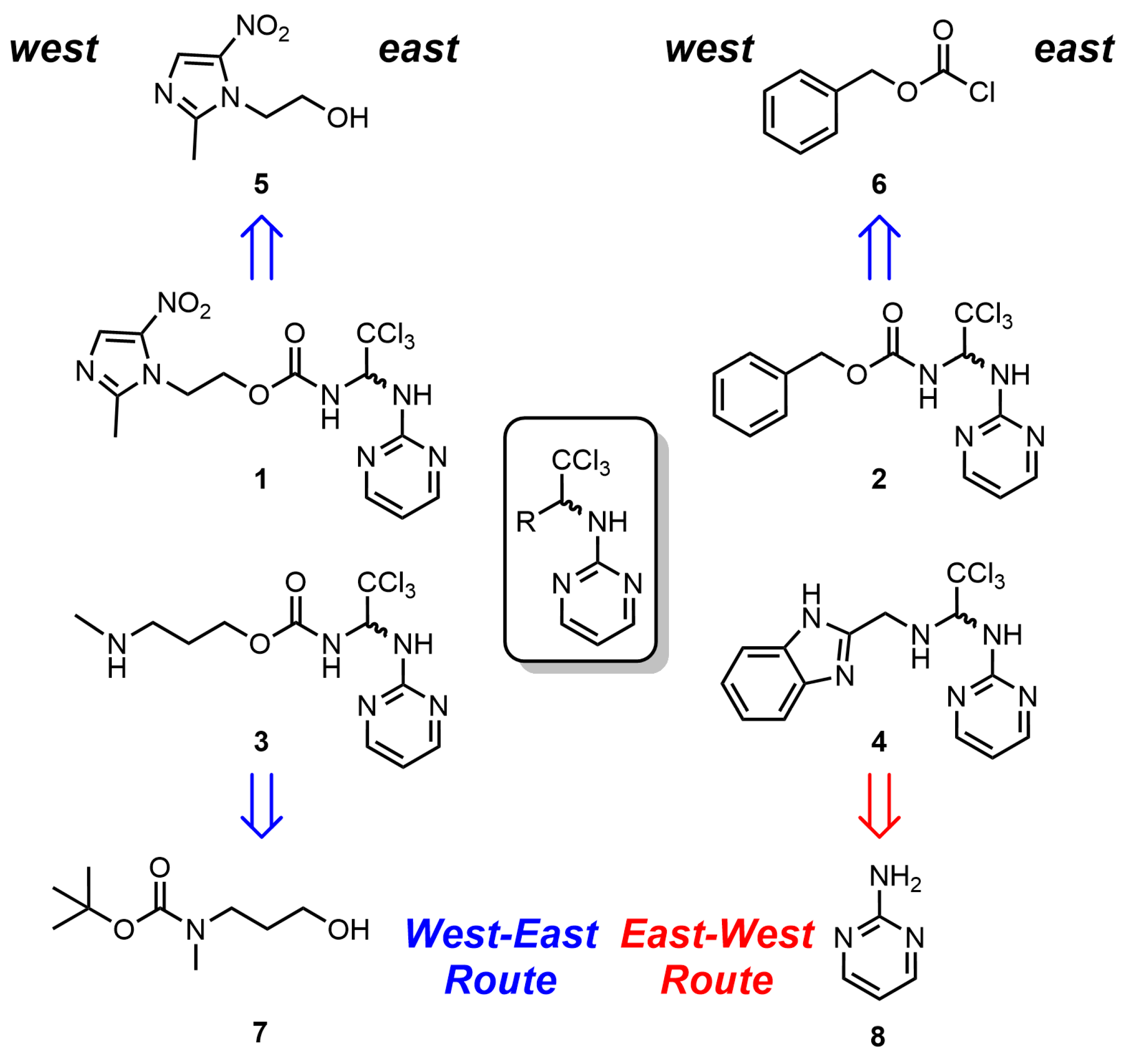 Biomolecules 14 01439 g001