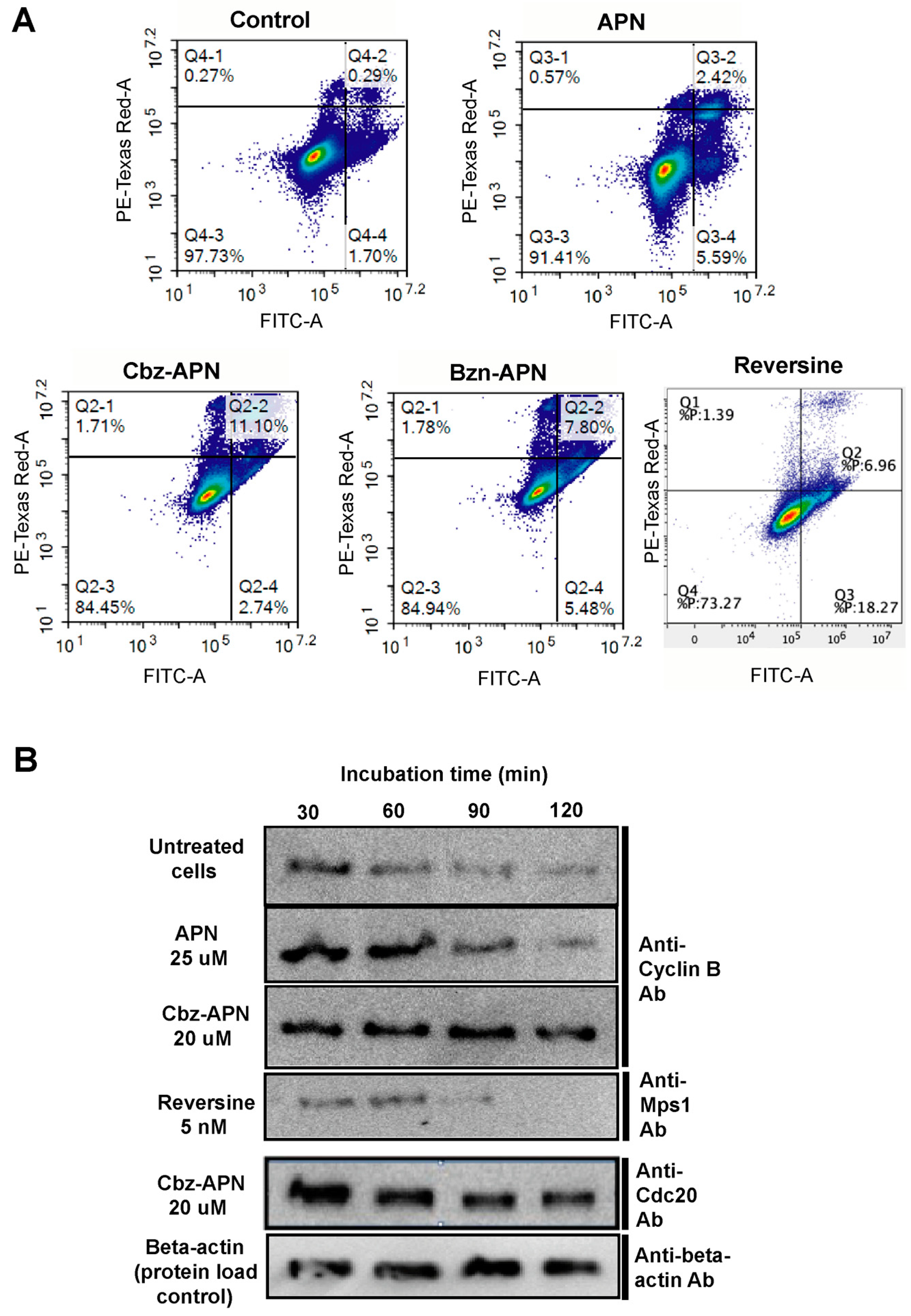 Biomolecules 14 01439 g004