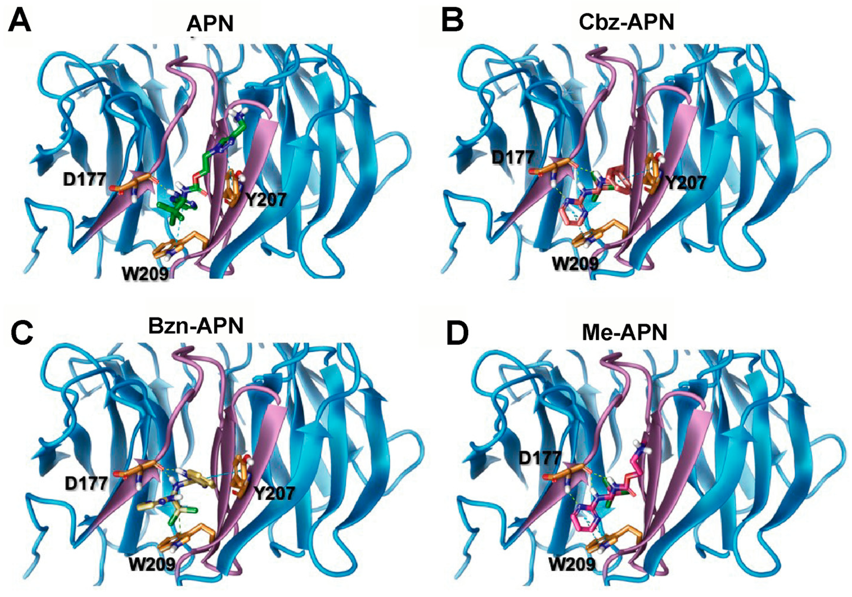 Biomolecules 14 01439 g008