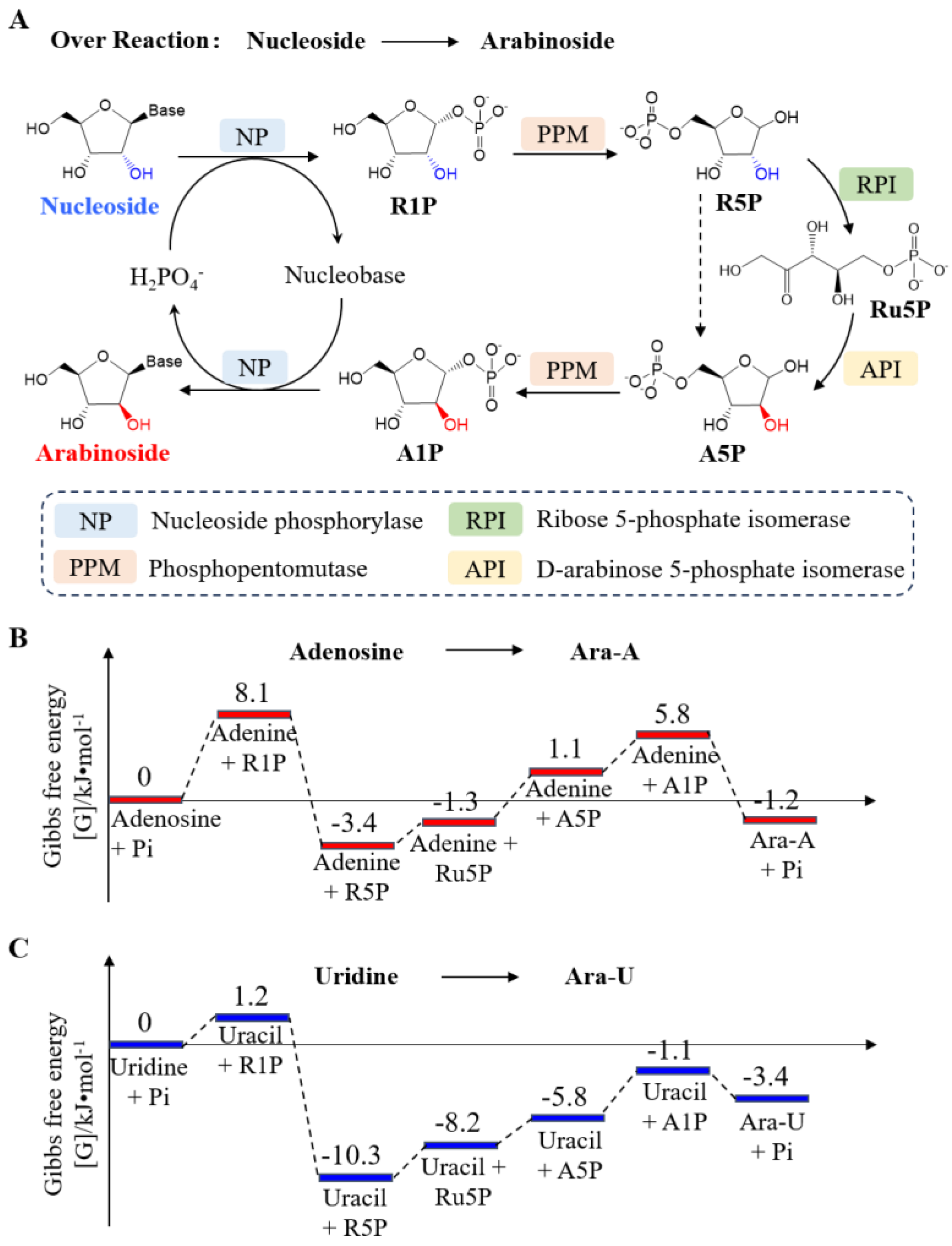 Biomolecules 14 01440 g001 Biomolecules 14 01440 g001