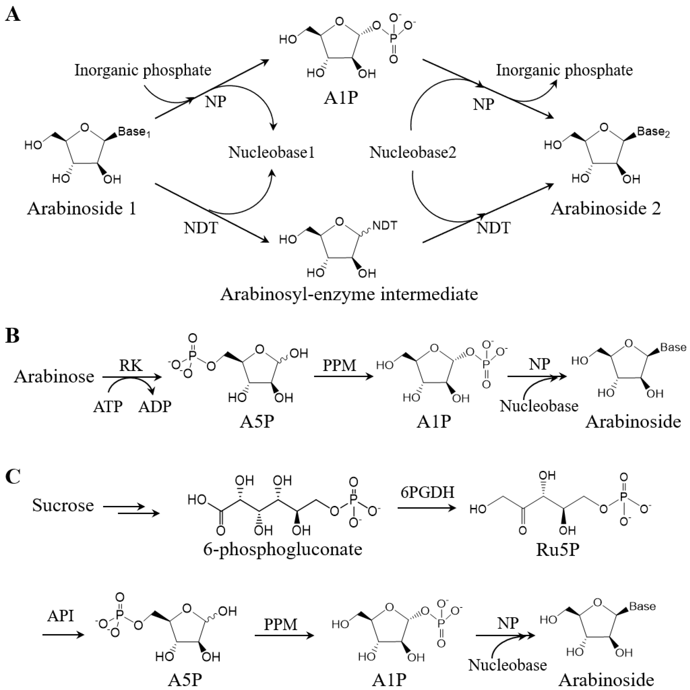 Biomolecules 14 01440 sch003 Biomolecules 14 01440 sch003