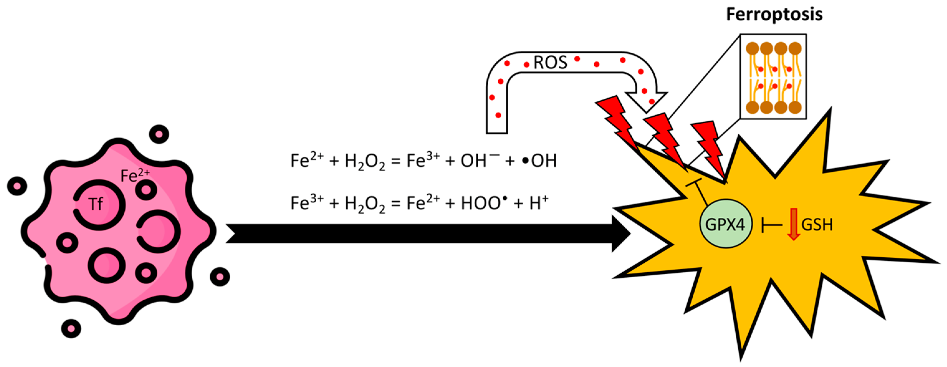 Biomolecules 14 01443 g001