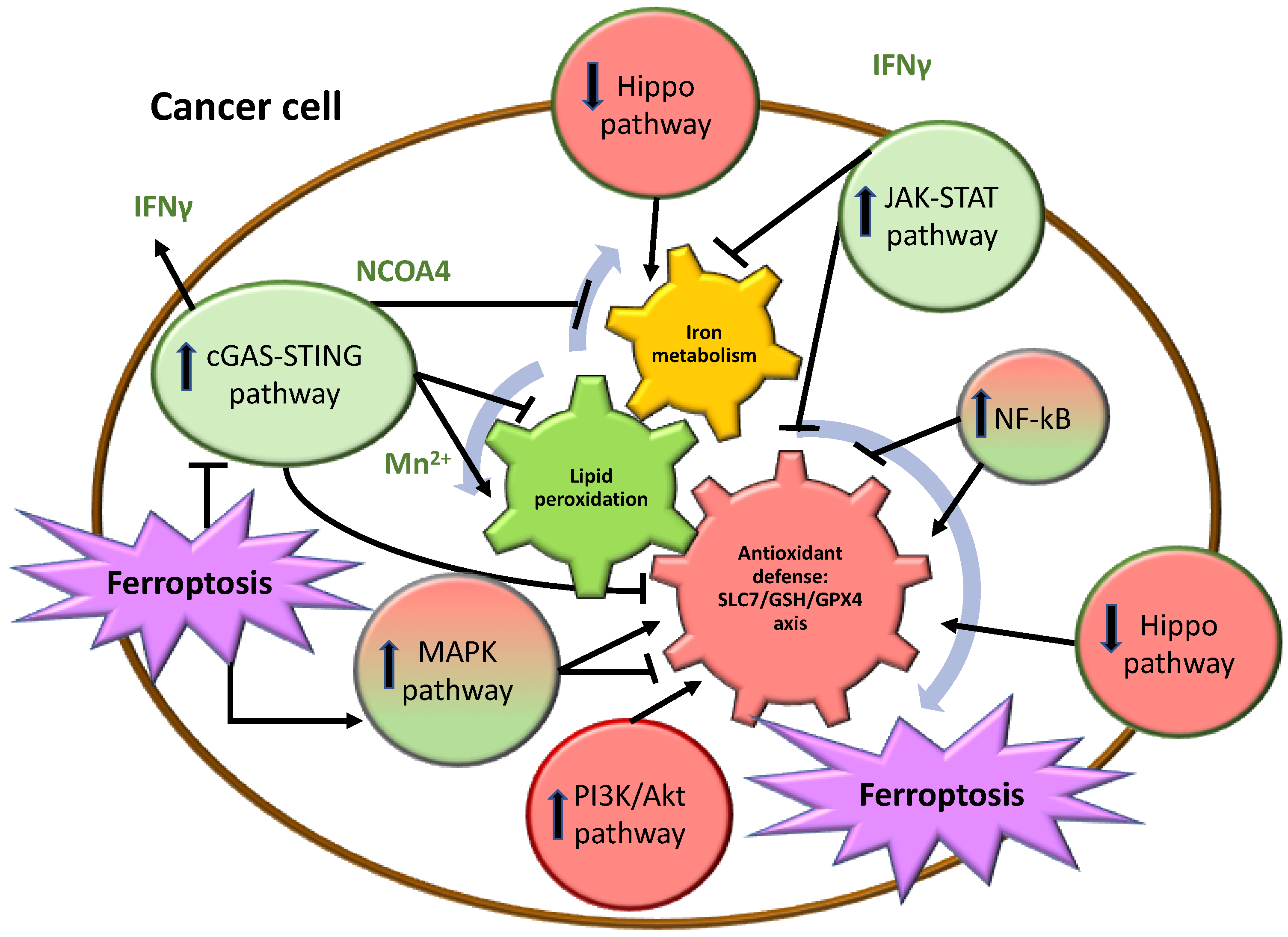Biomolecules 14 01443 g002