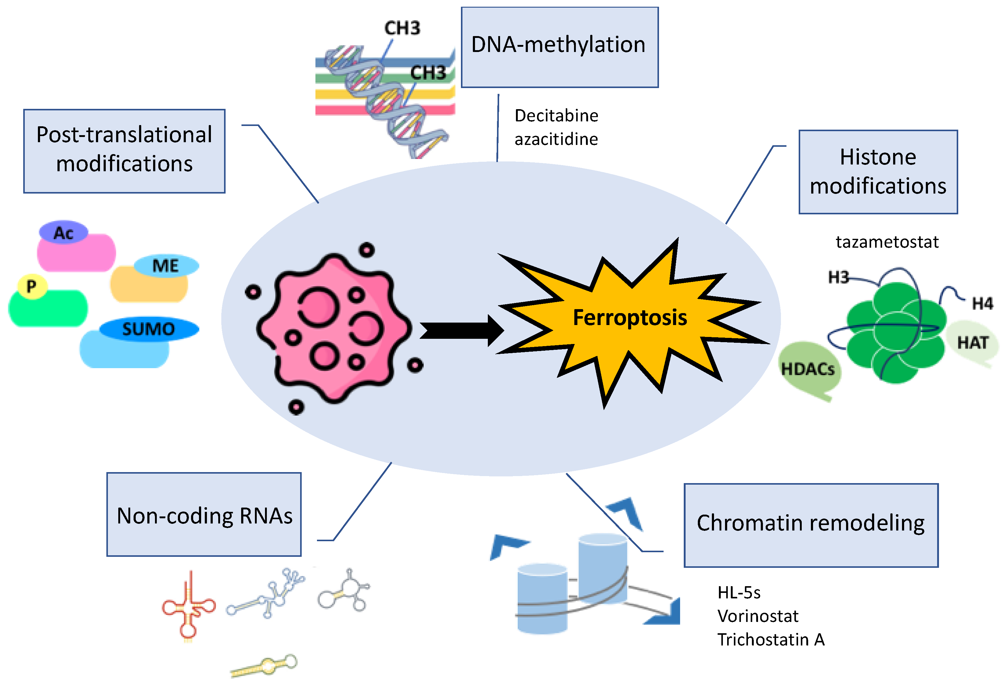 Biomolecules 14 01443 g003