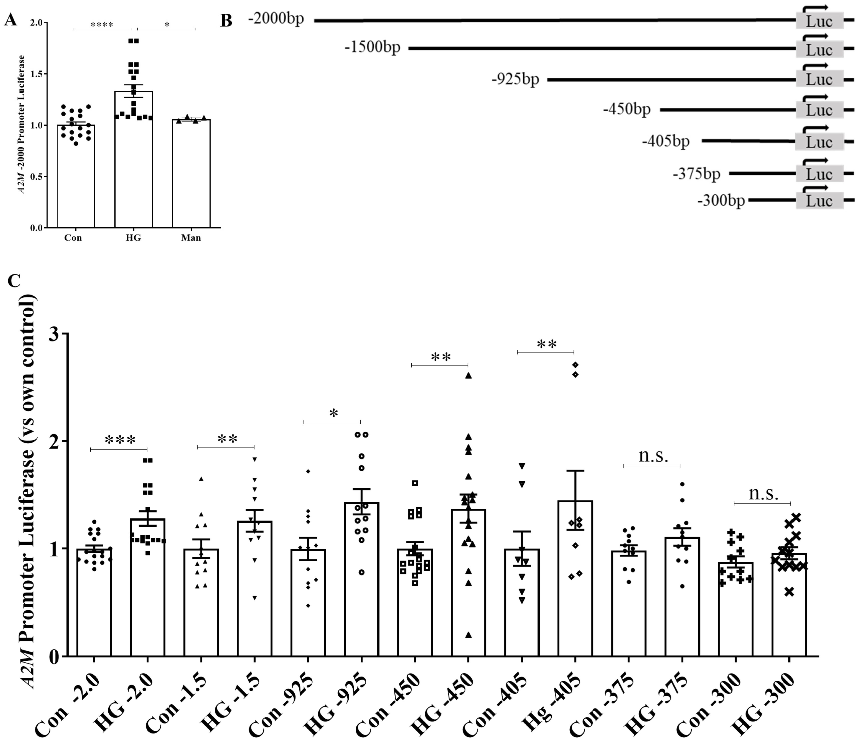 Biomolecules 14 01444 g001