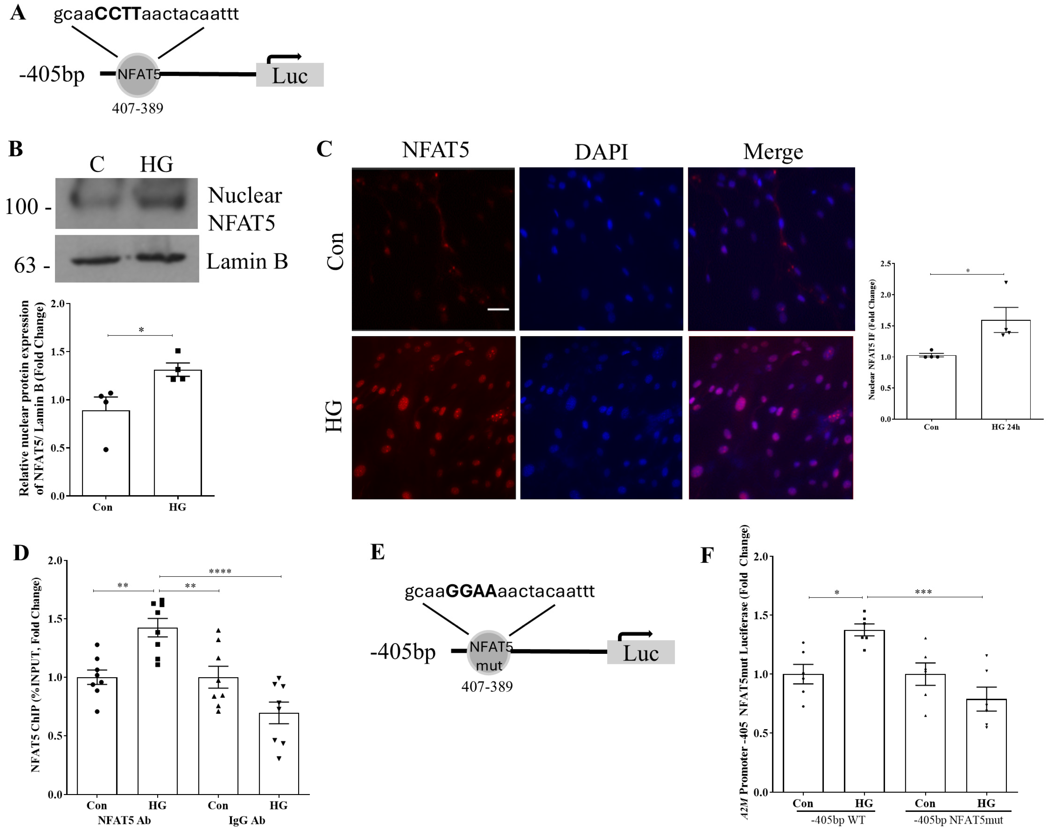 Biomolecules 14 01444 g002