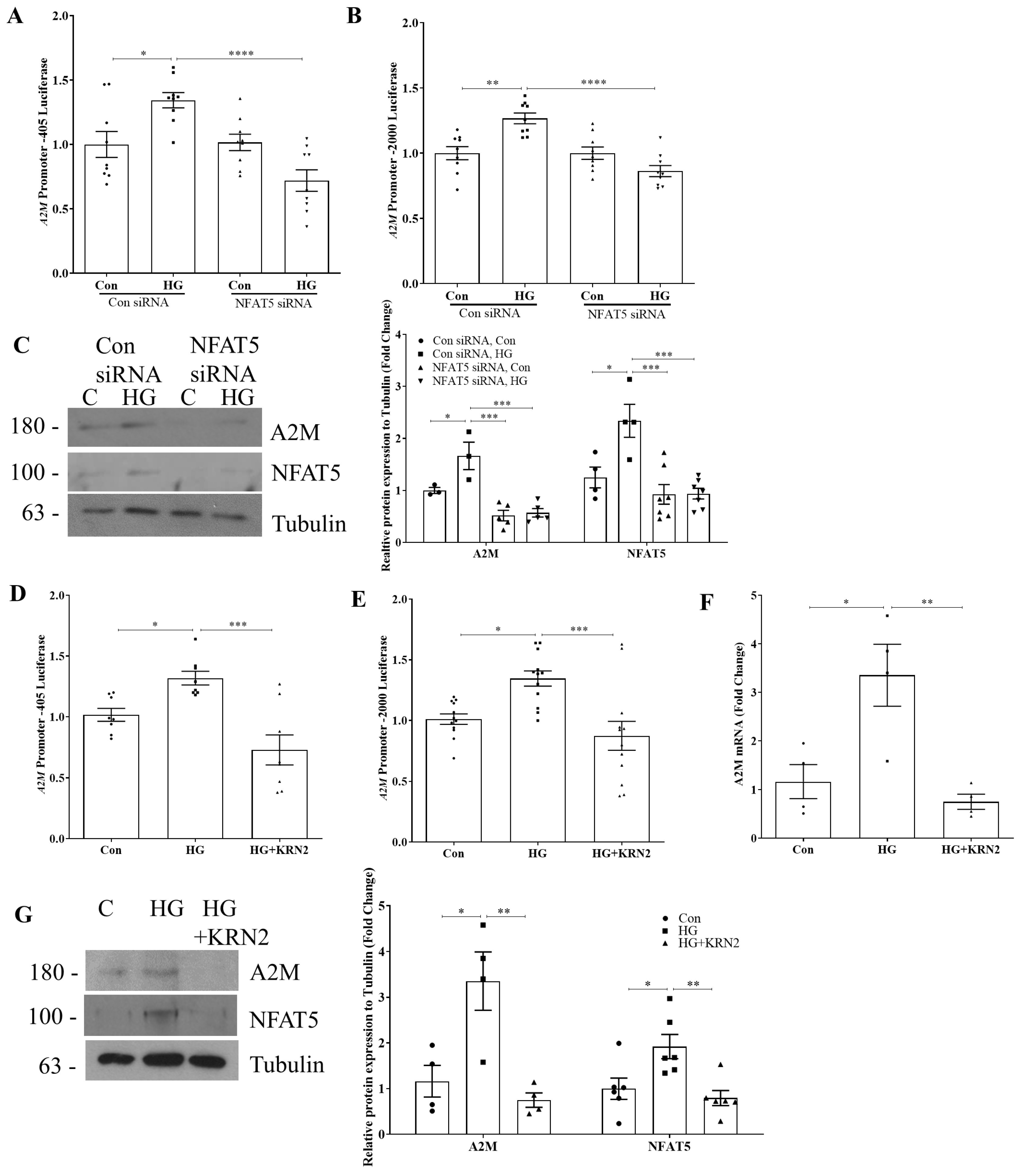 Biomolecules 14 01444 g003