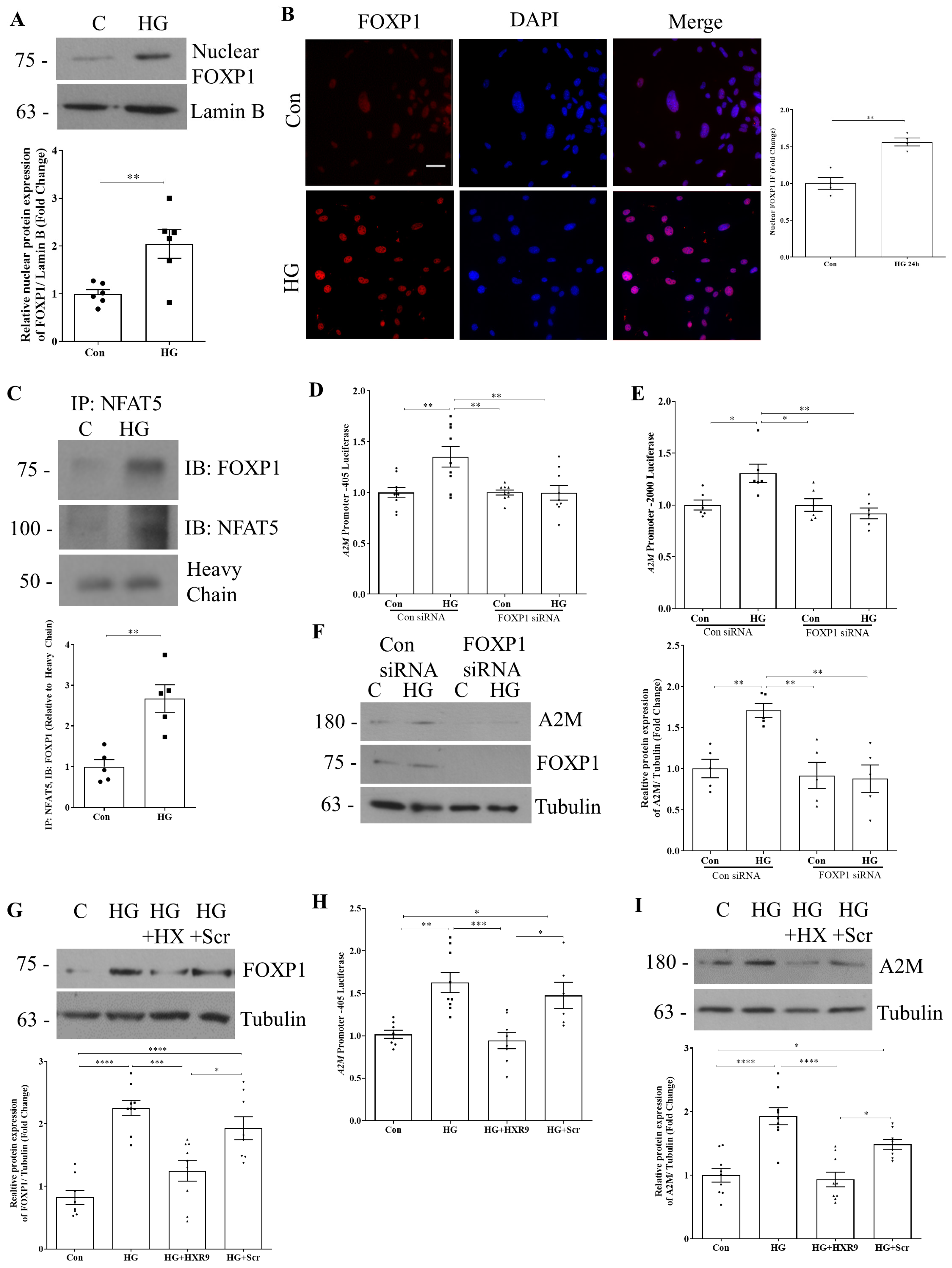 Biomolecules 14 01444 g004