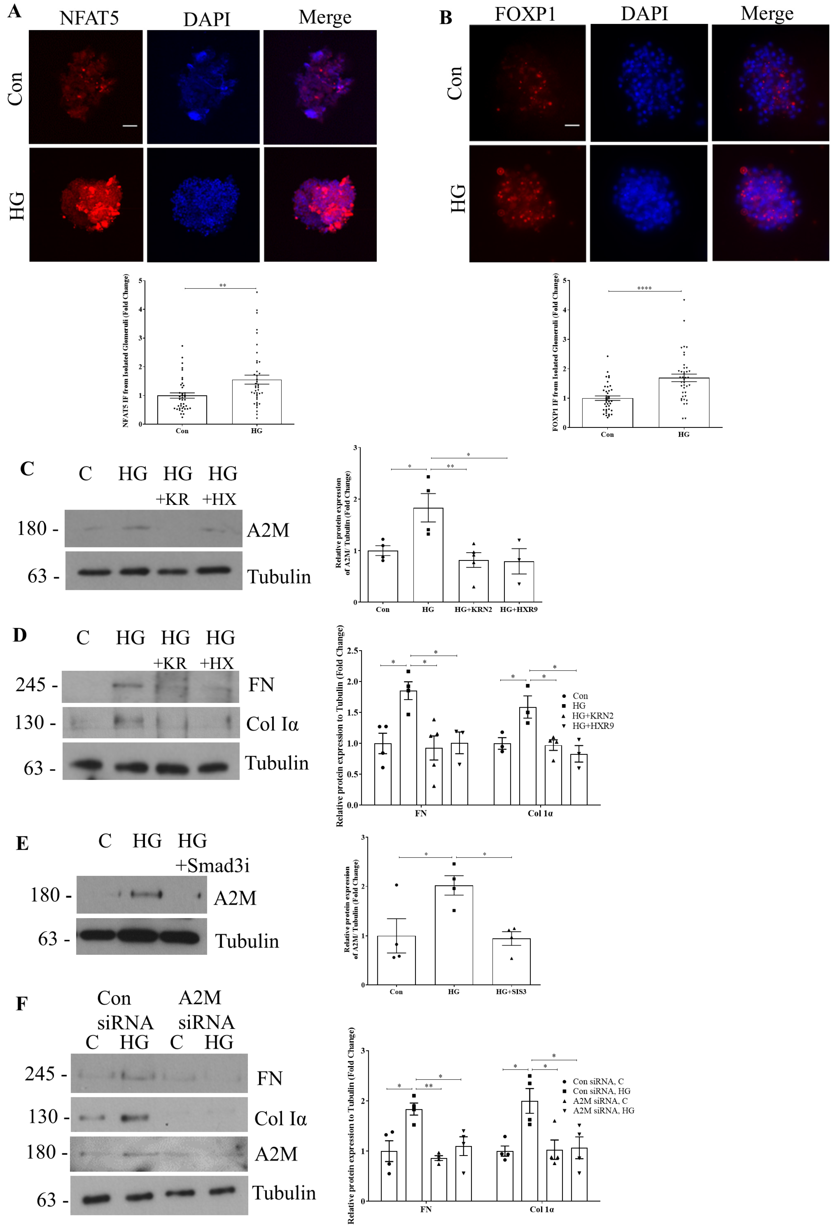 Biomolecules 14 01444 g006
