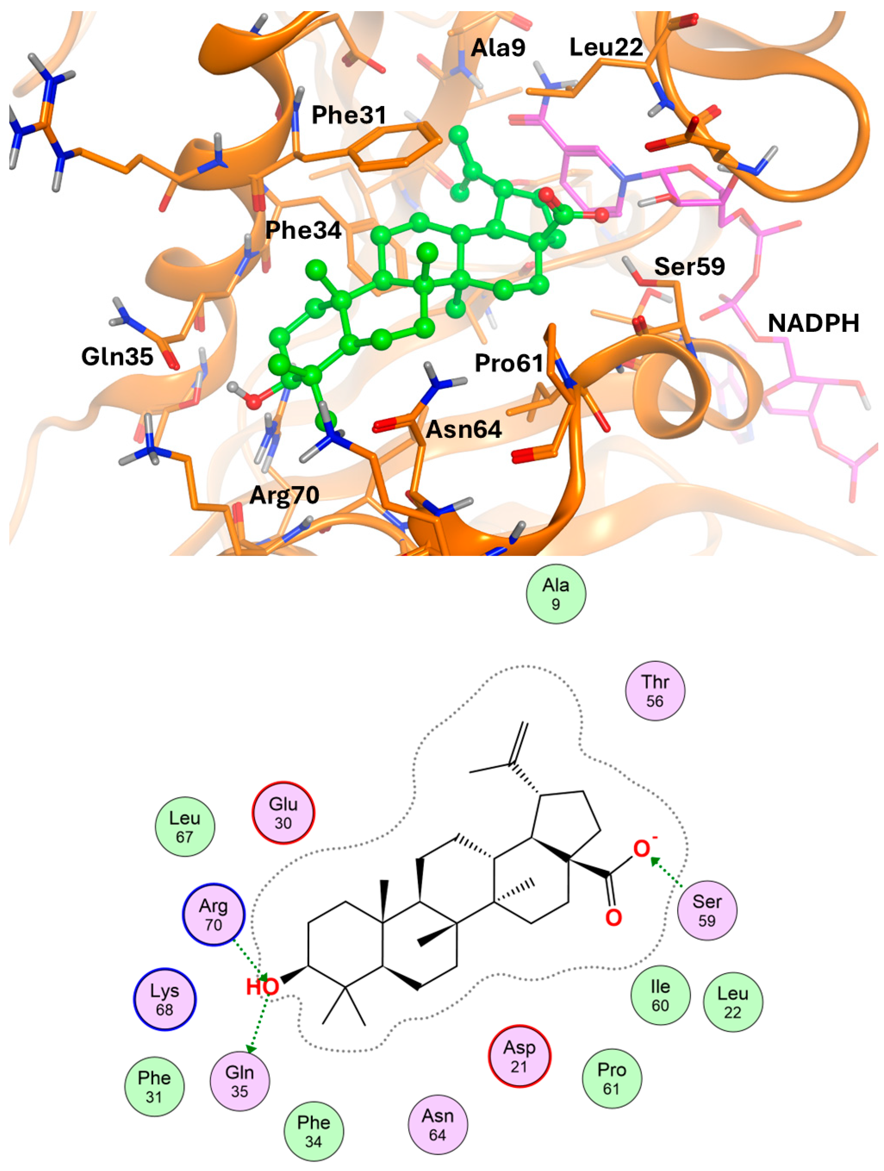 Biomolecules 14 01454 g010