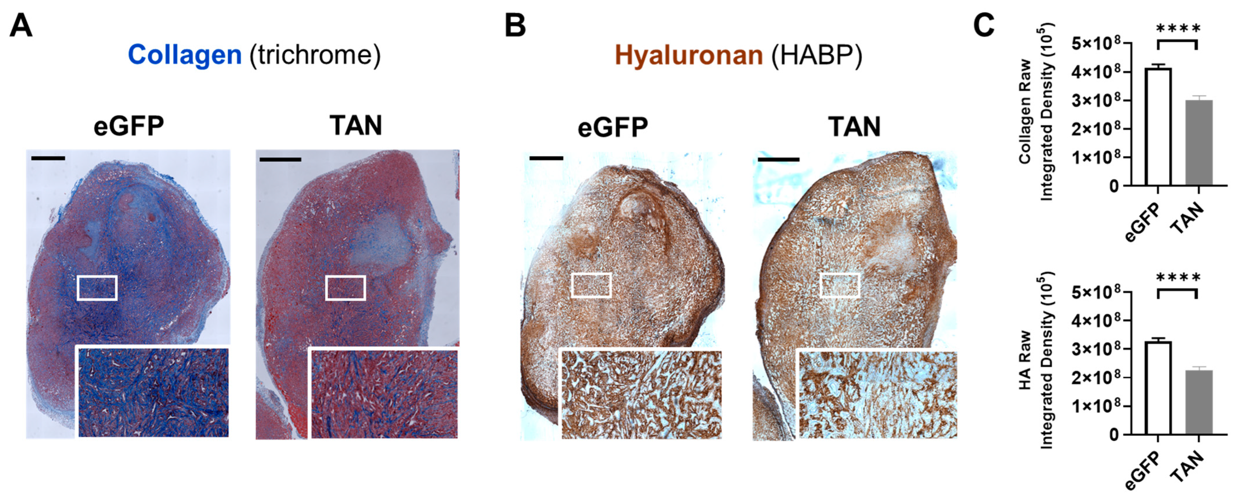 Biomolecules 14 01458 g005