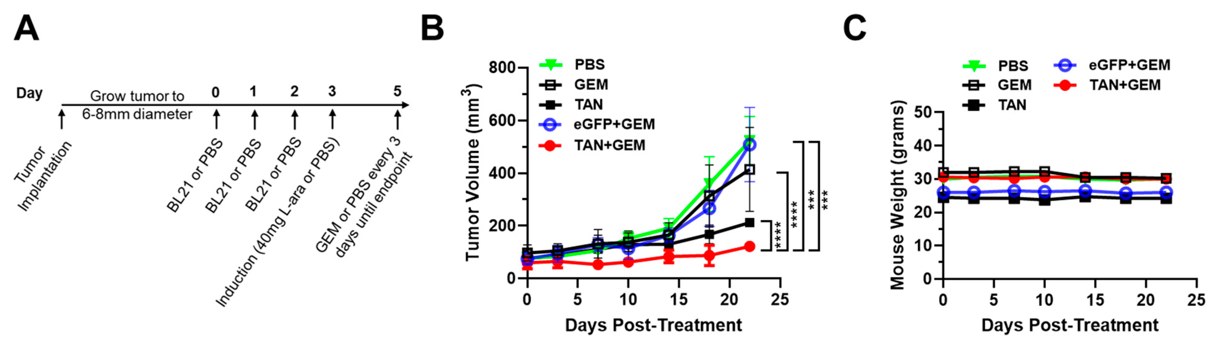 Biomolecules 14 01458 g006