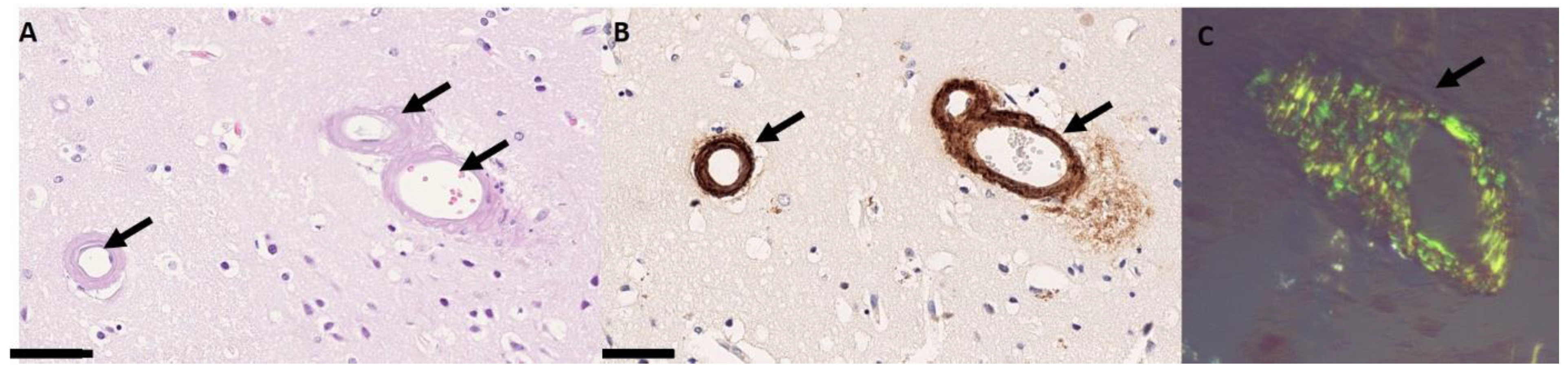 Biomolecules 14 01459 g001