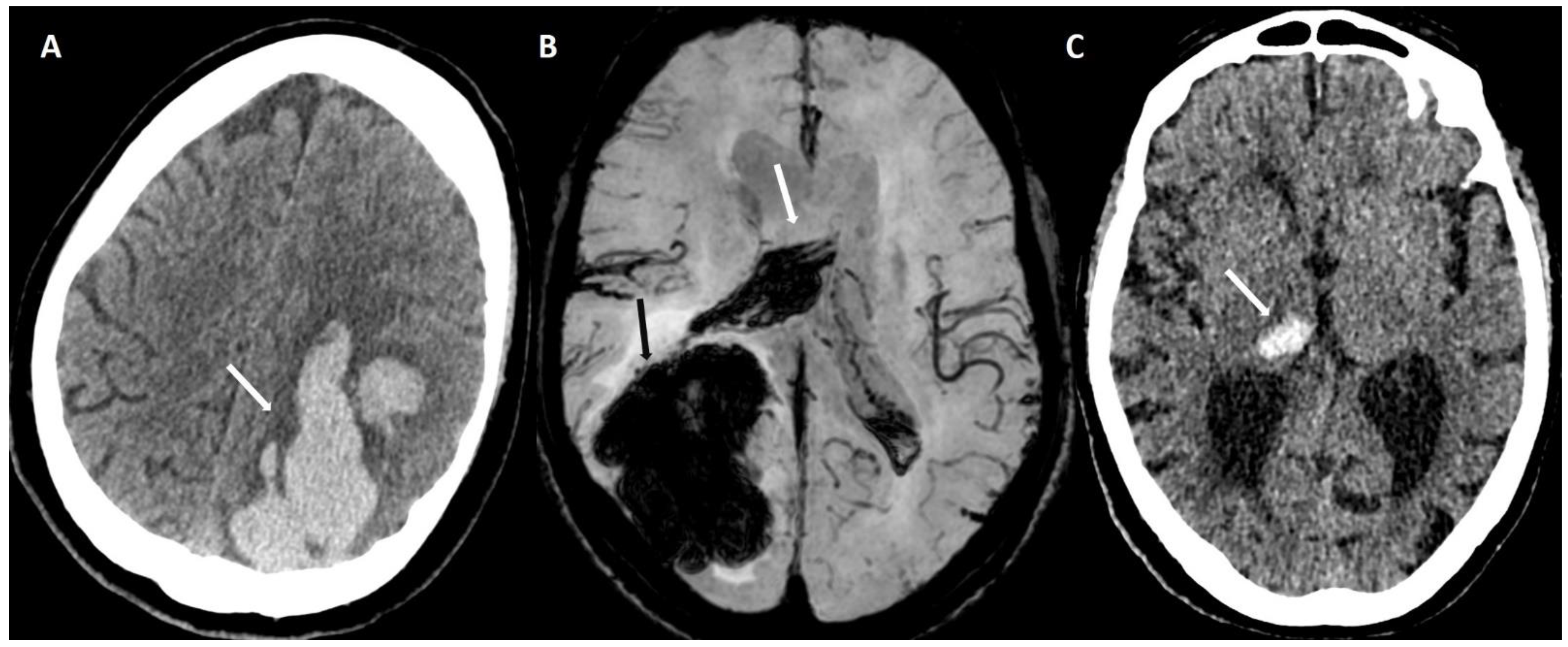 Biomolecules 14 01459 g002