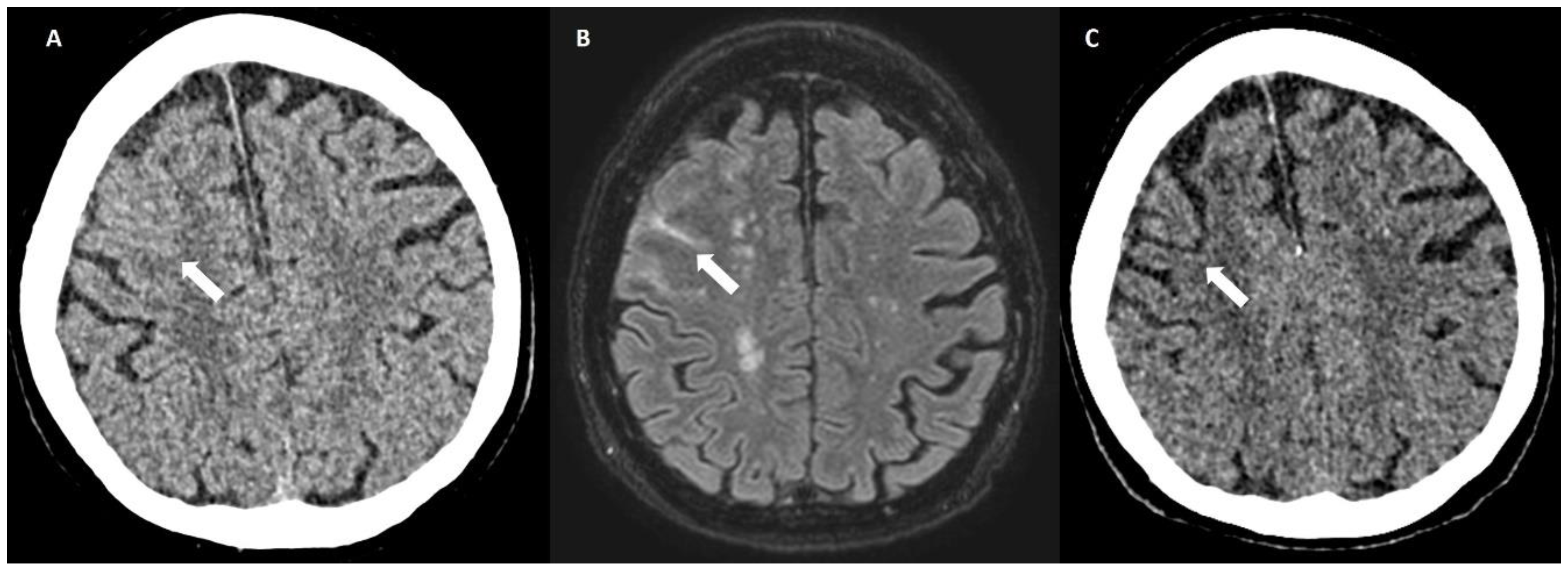 Biomolecules 14 01459 g004