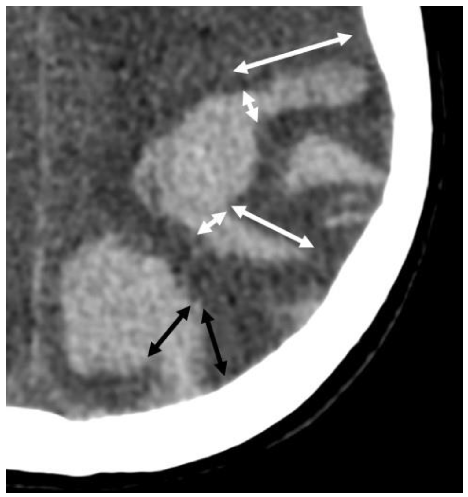 Biomolecules 14 01459 g009