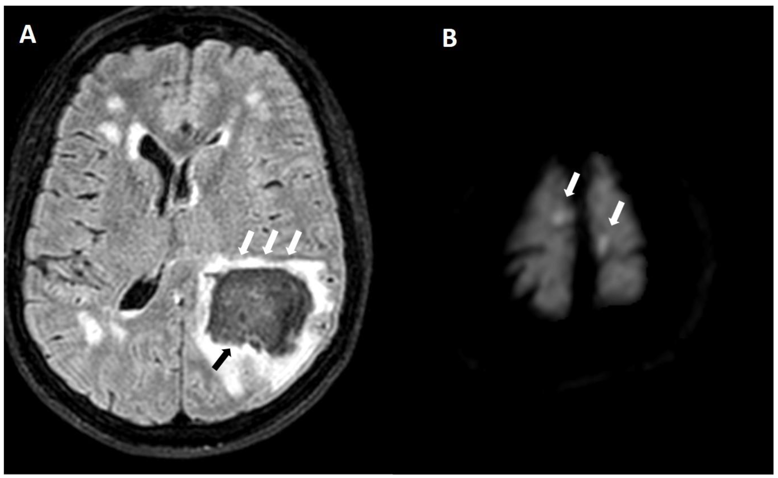 Biomolecules 14 01459 g012