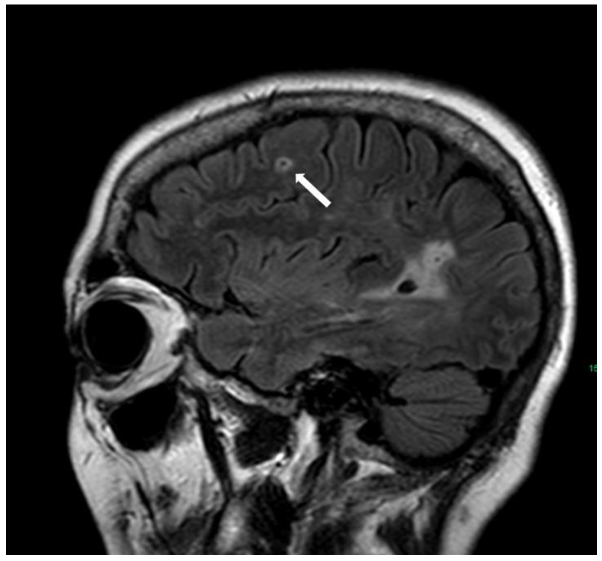Biomolecules 14 01459 g013