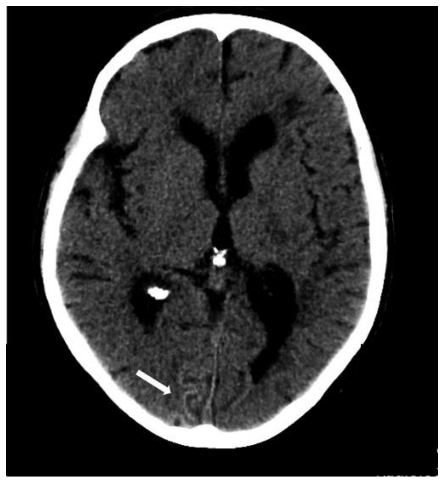 Biomolecules 14 01459 g015