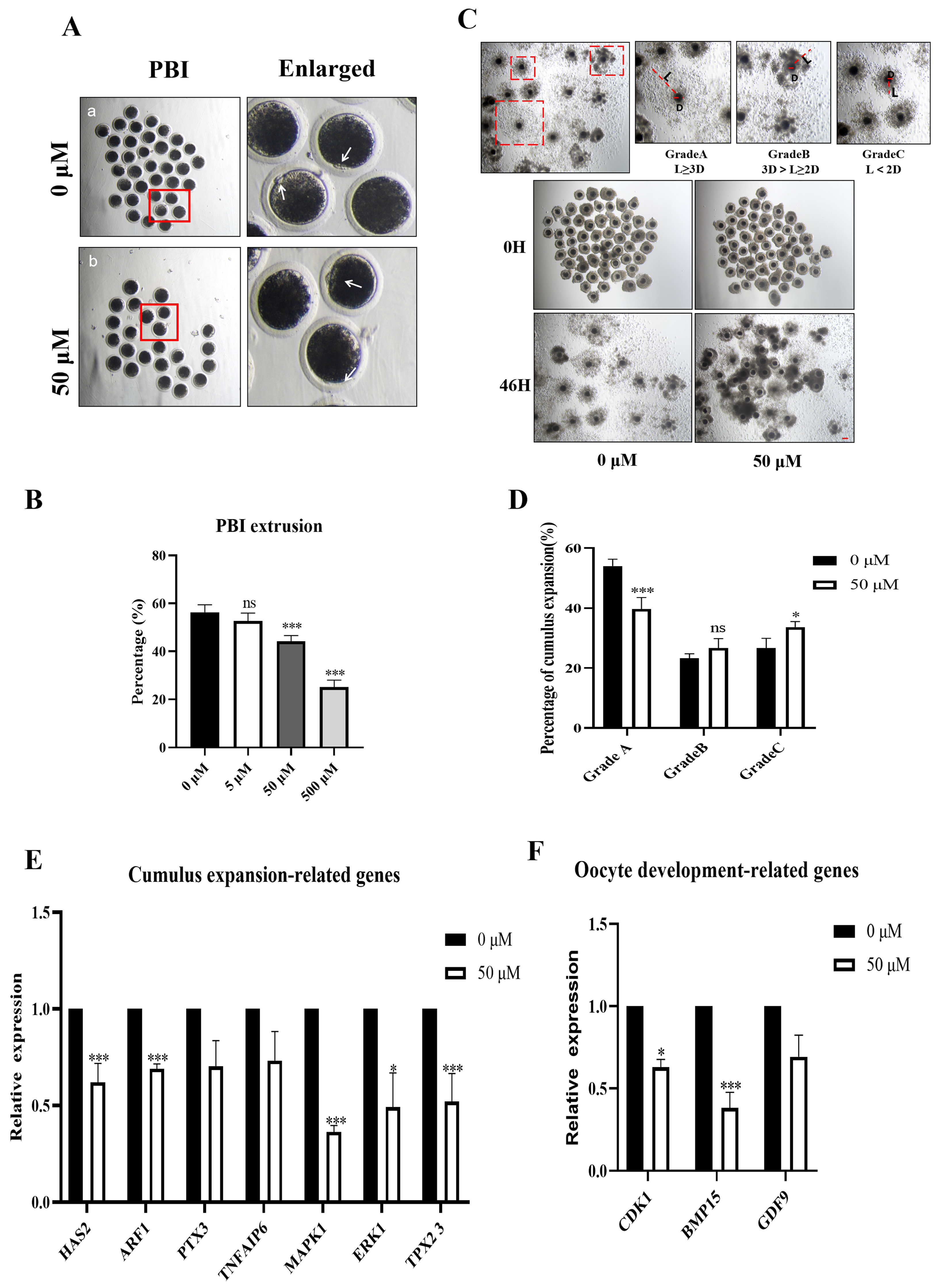 Biomolecules 14 01466 g001