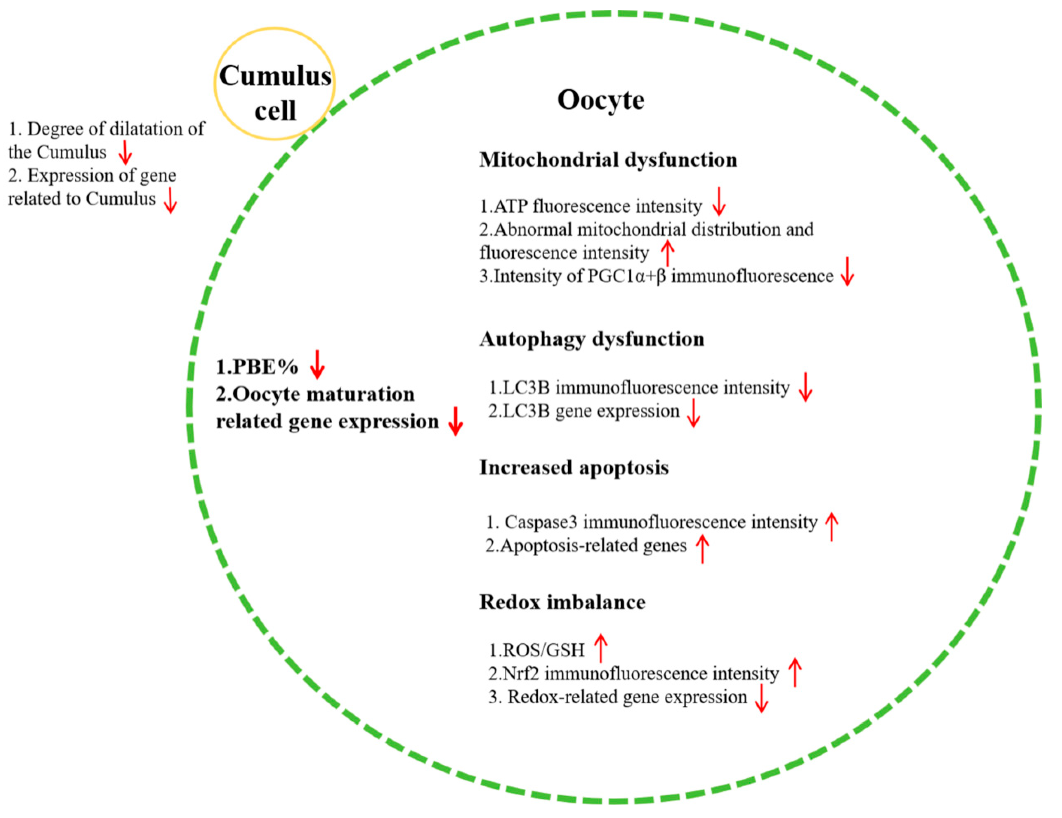 Biomolecules 14 01466 g005