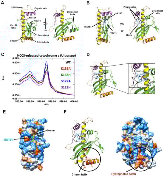 Biomolecules 14 01483 g001
