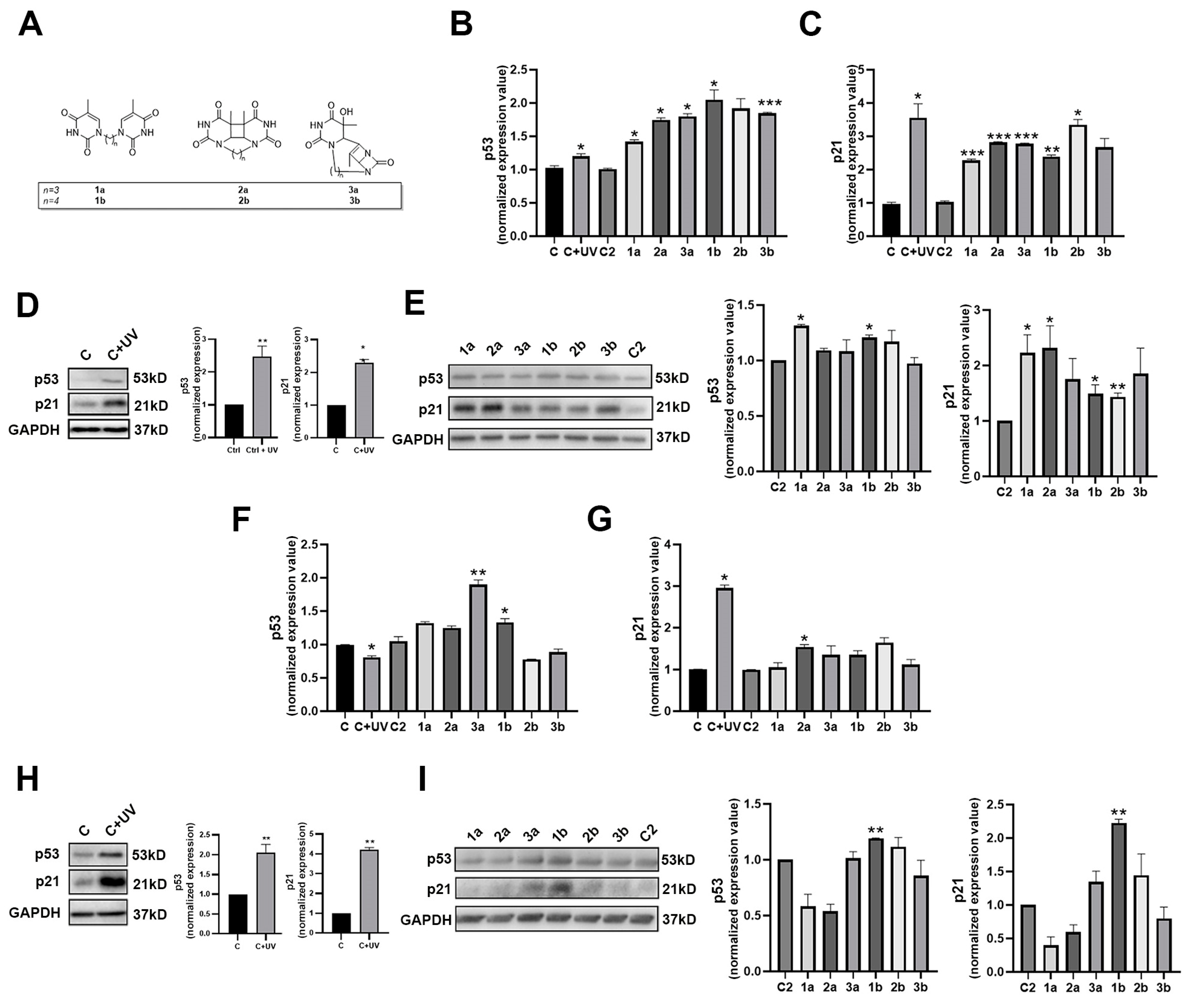 Biomolecules 14 01484 g001