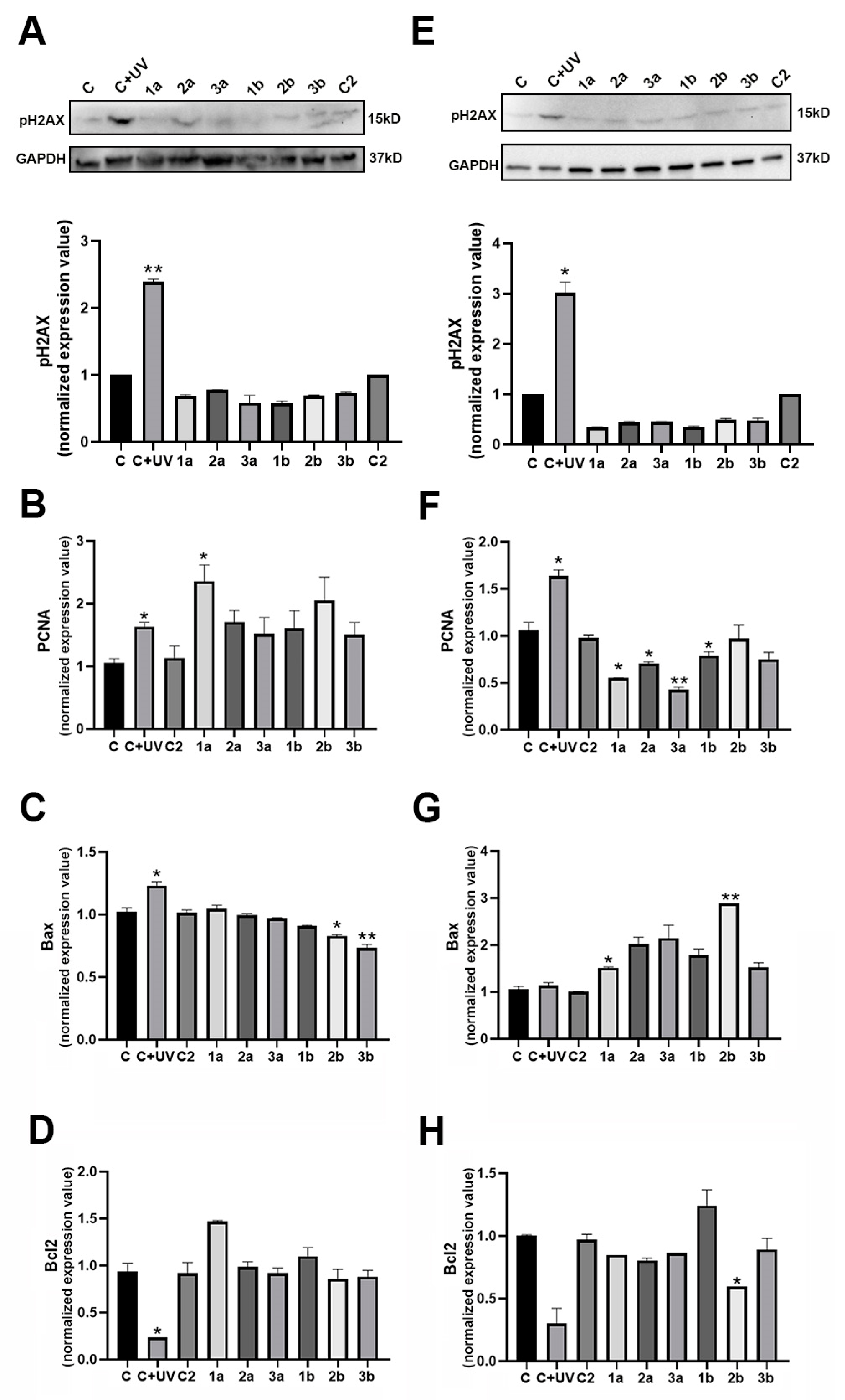 Biomolecules 14 01484 g002