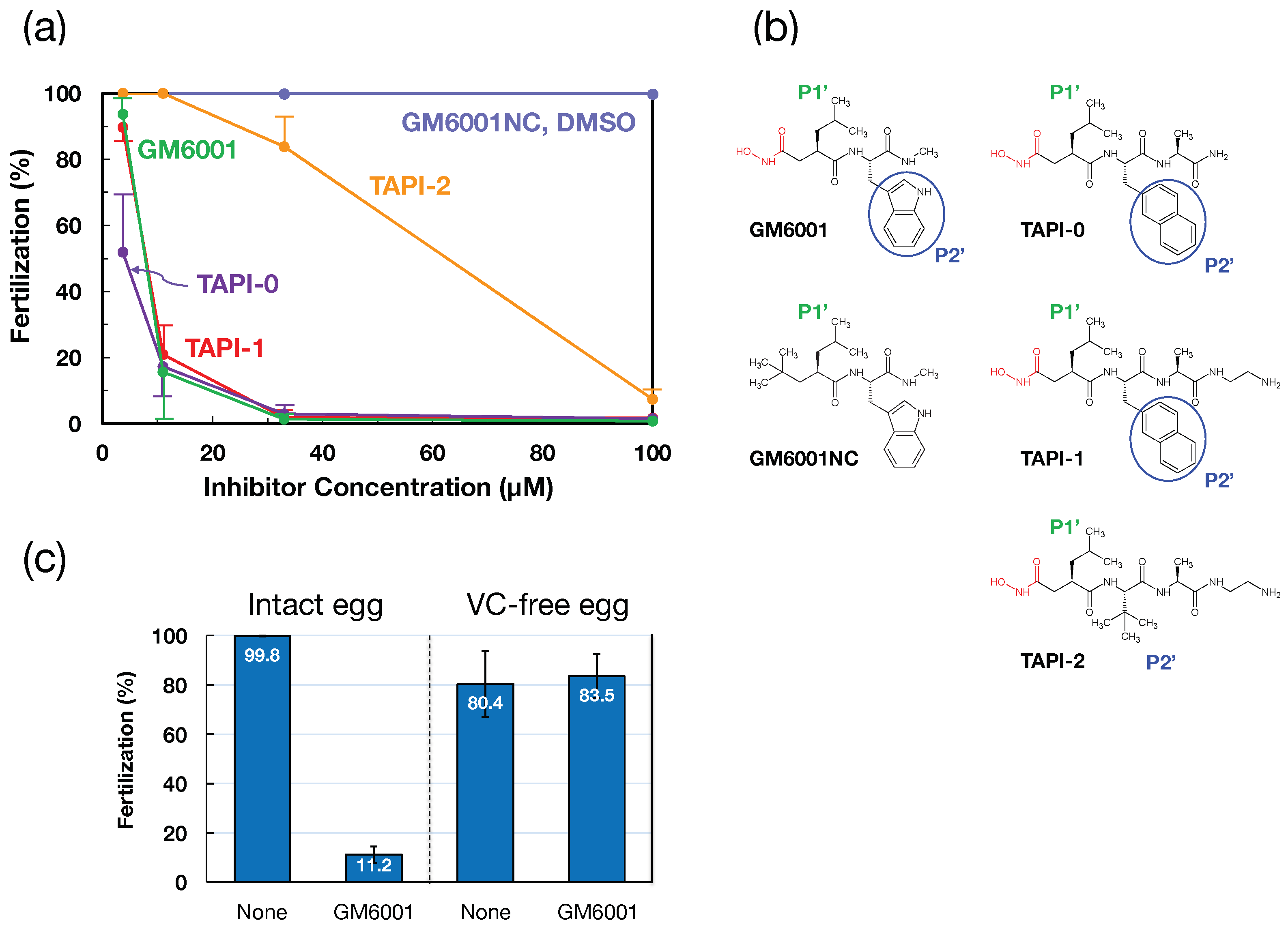 Biomolecules 14 01487 g001