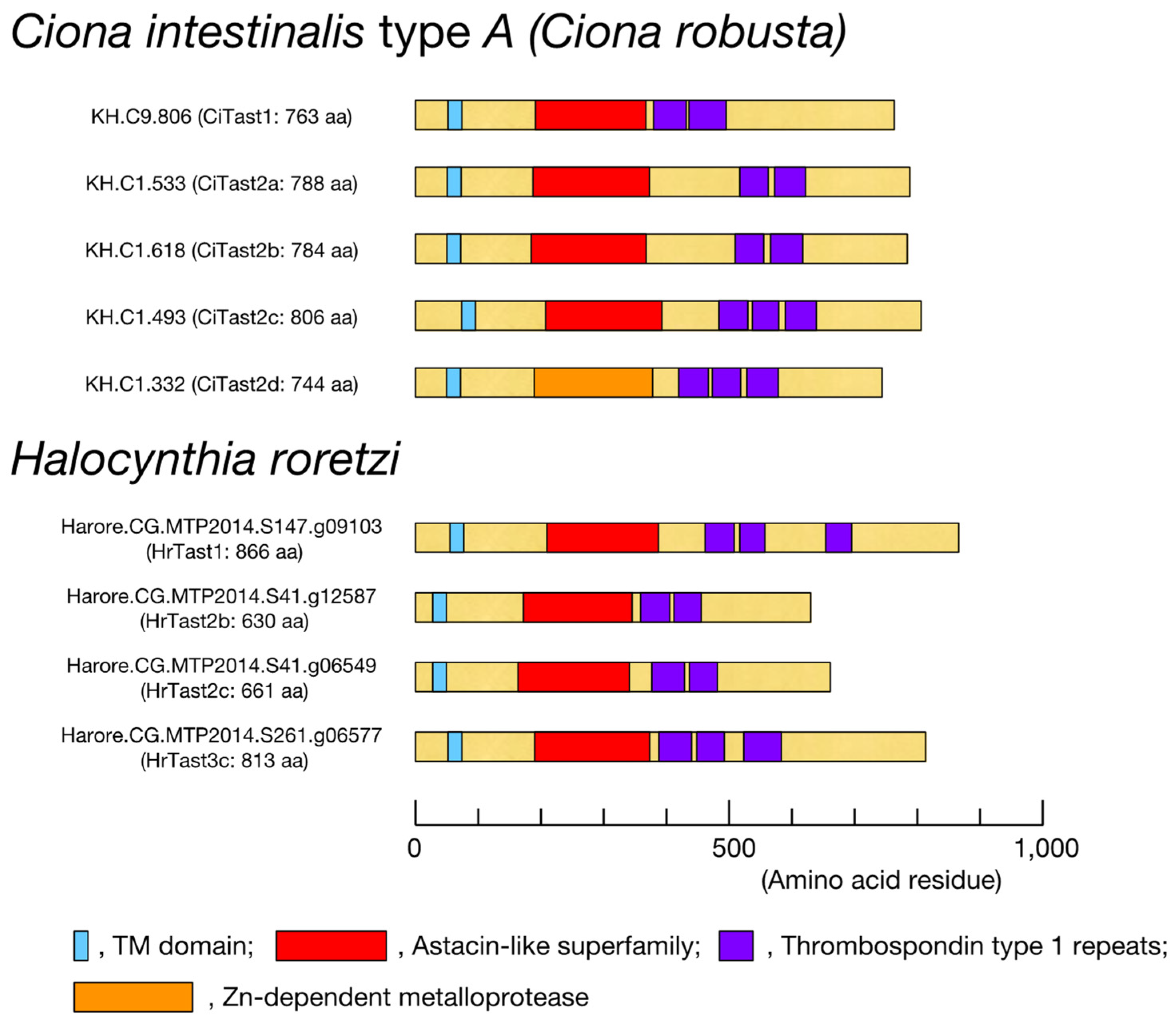 Biomolecules 14 01487 g003