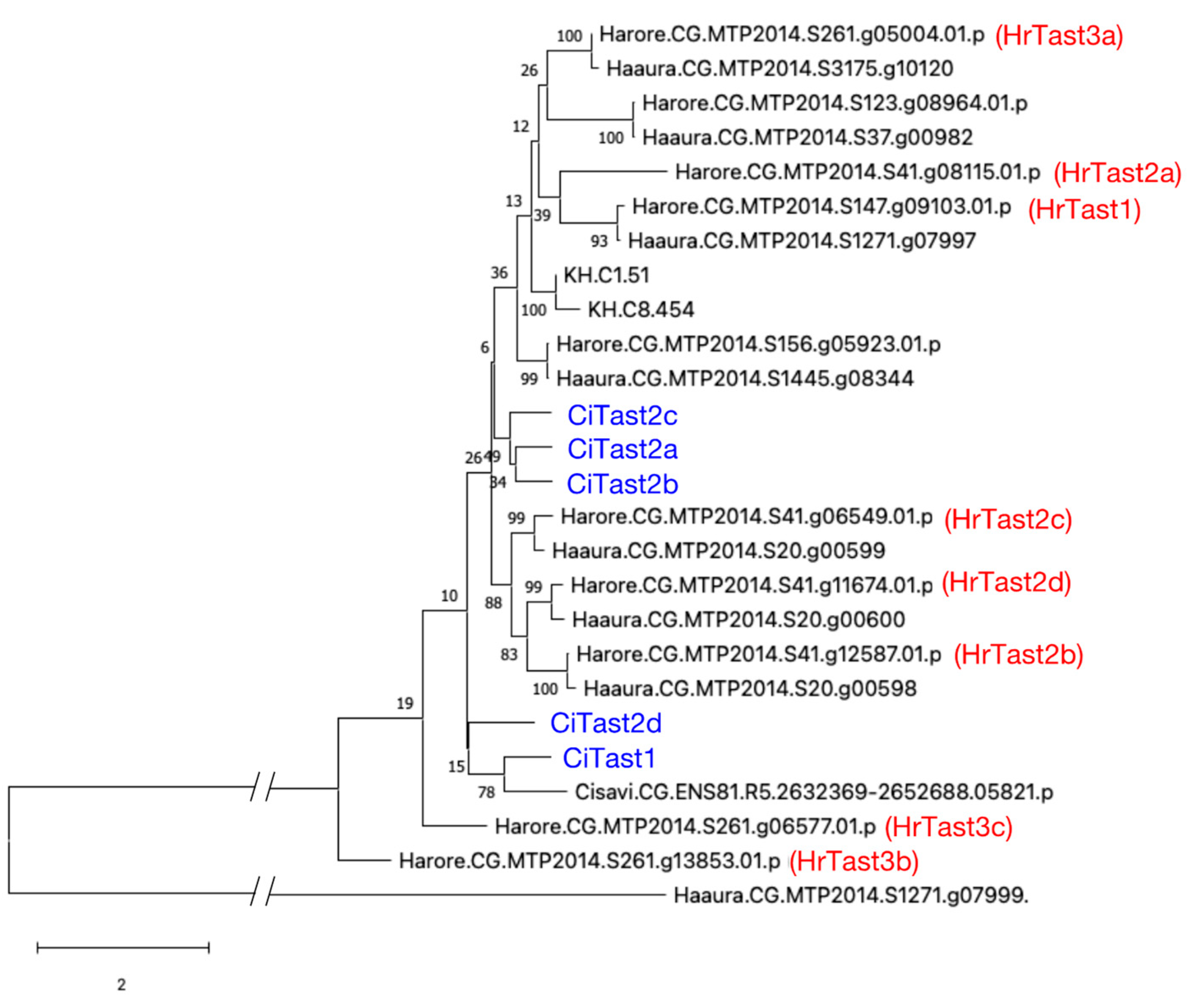 Biomolecules 14 01487 g005