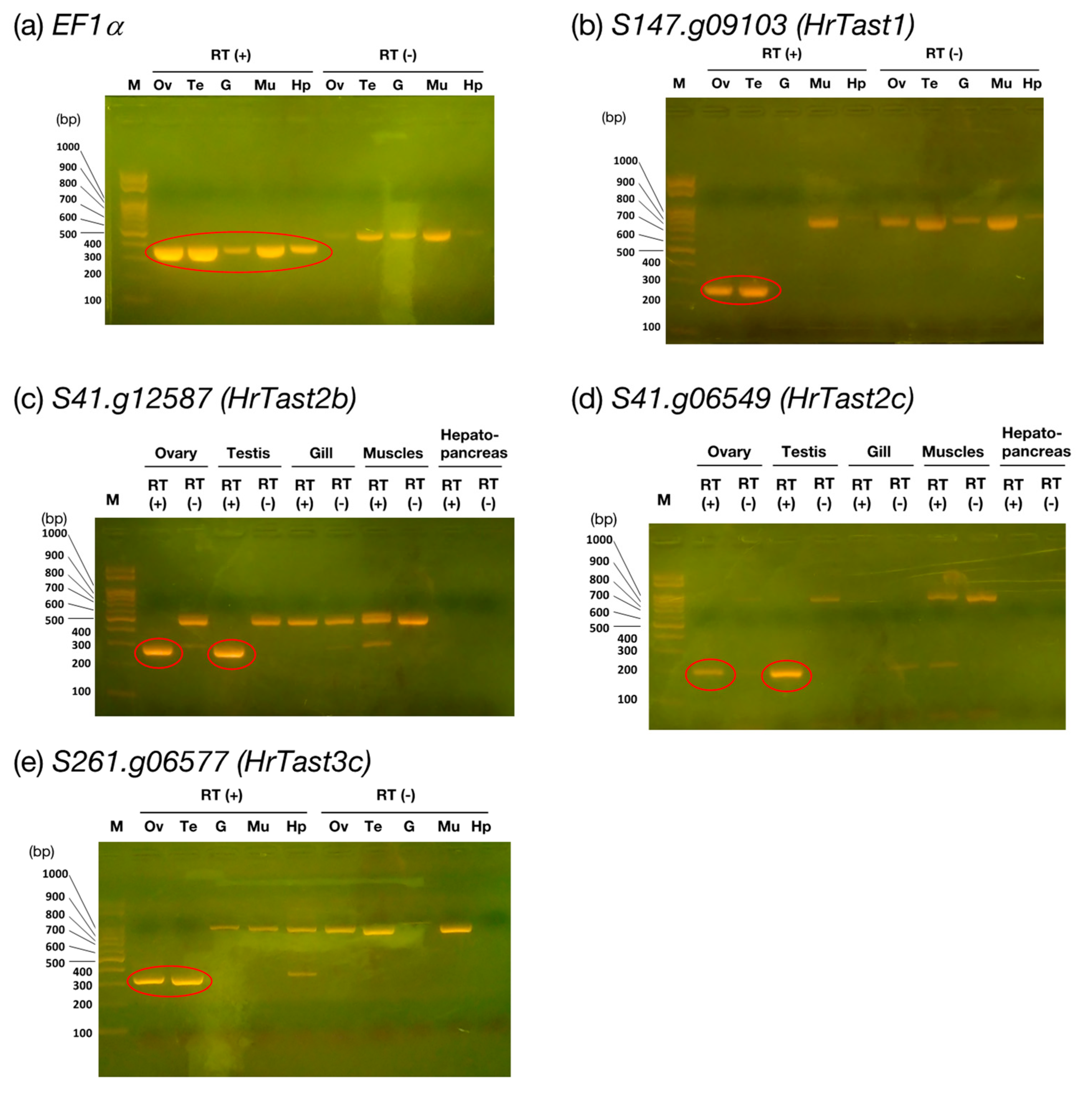 Biomolecules 14 01487 g006