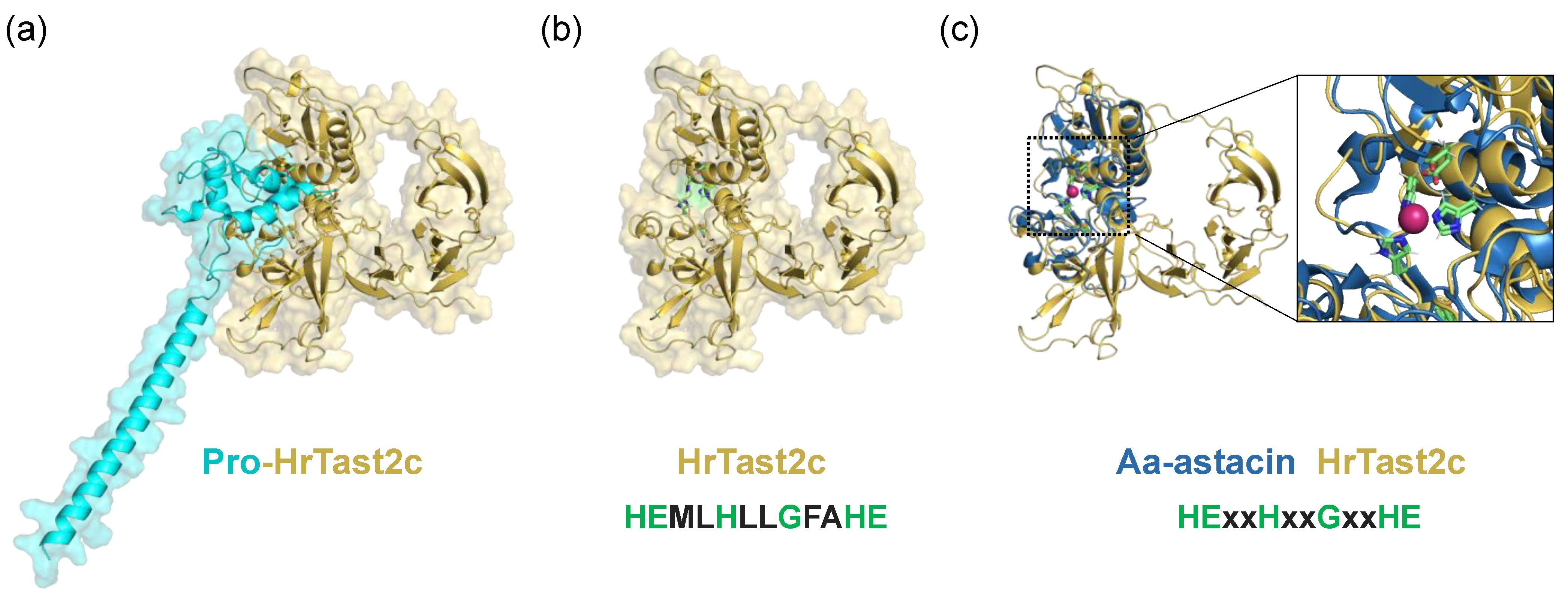 Biomolecules 14 01487 g008