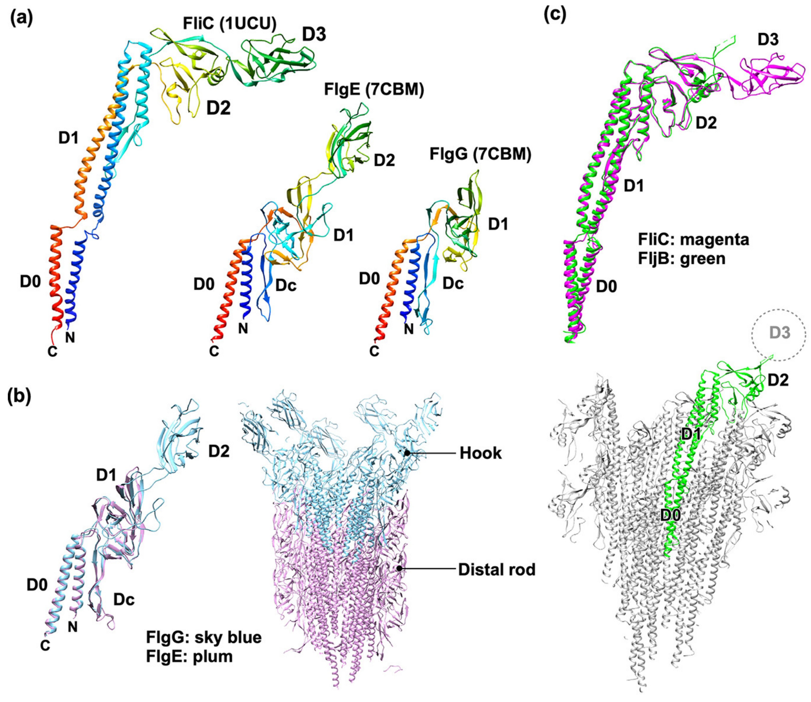 Biomolecules 14 01488 g003 Biomolecules 14 01488 g003