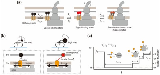 Biomolecules 14 01488 g004