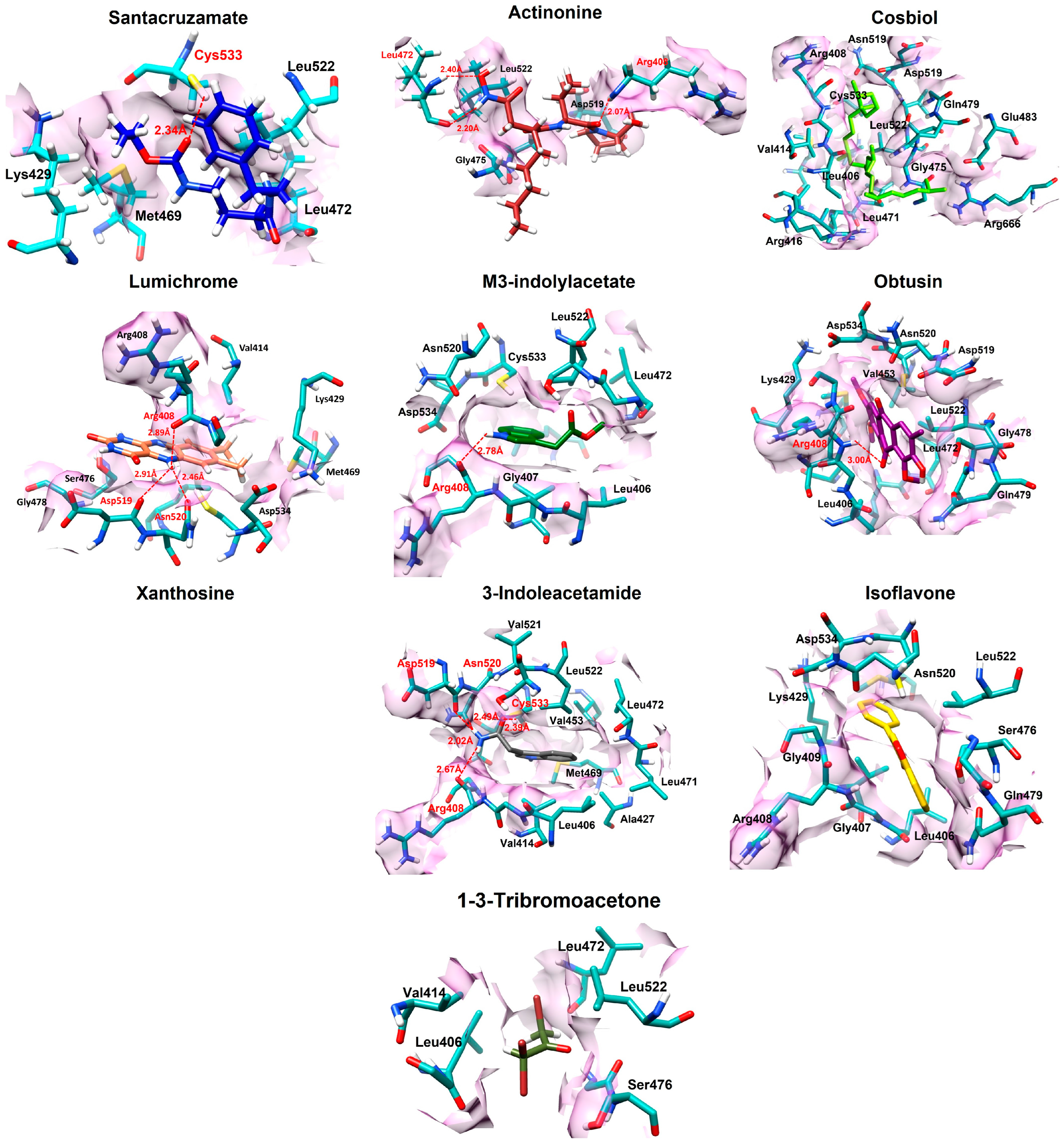 Biomolecules 14 01490 g002