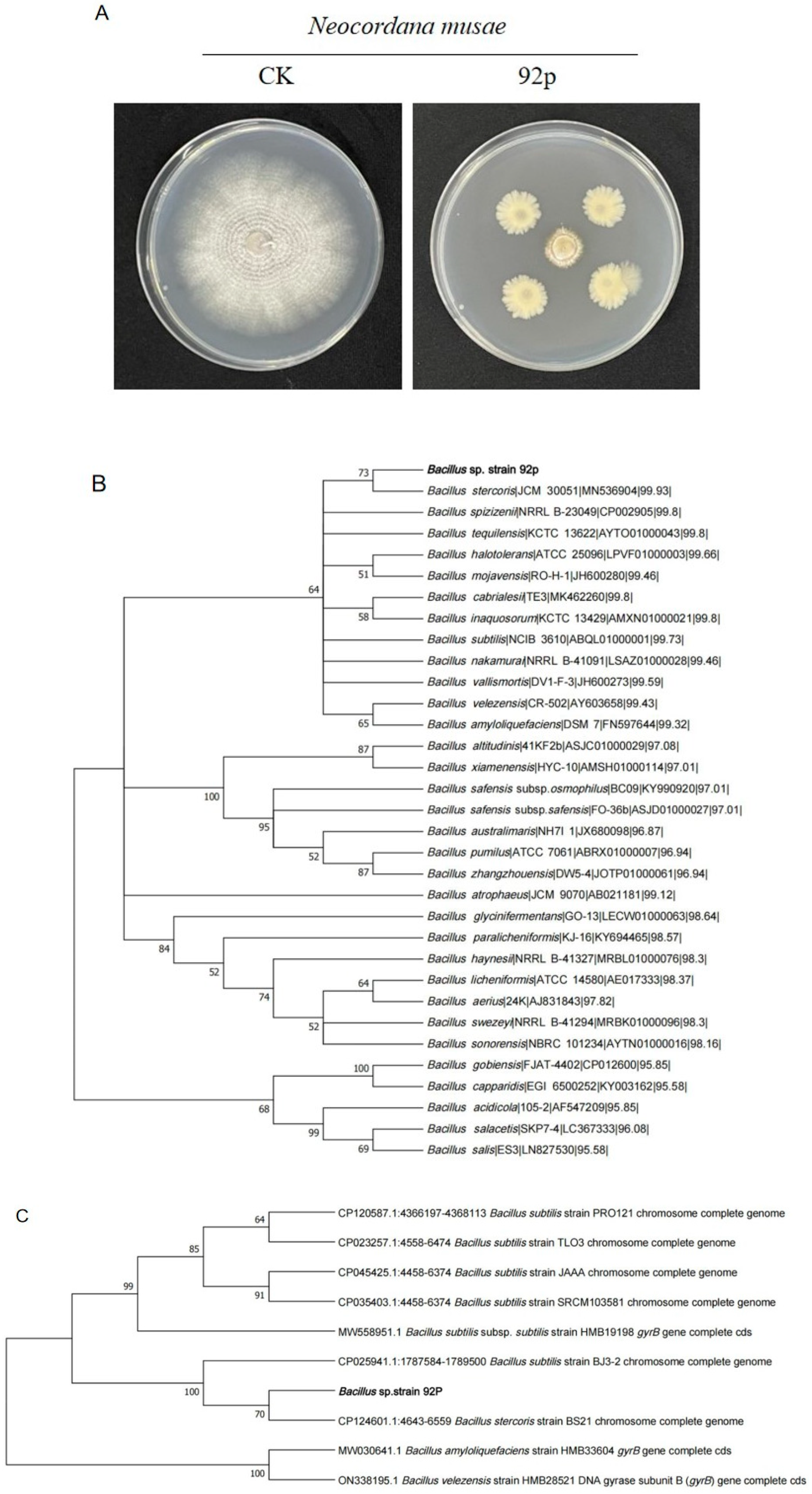 Biomolecules 14 01495 g001