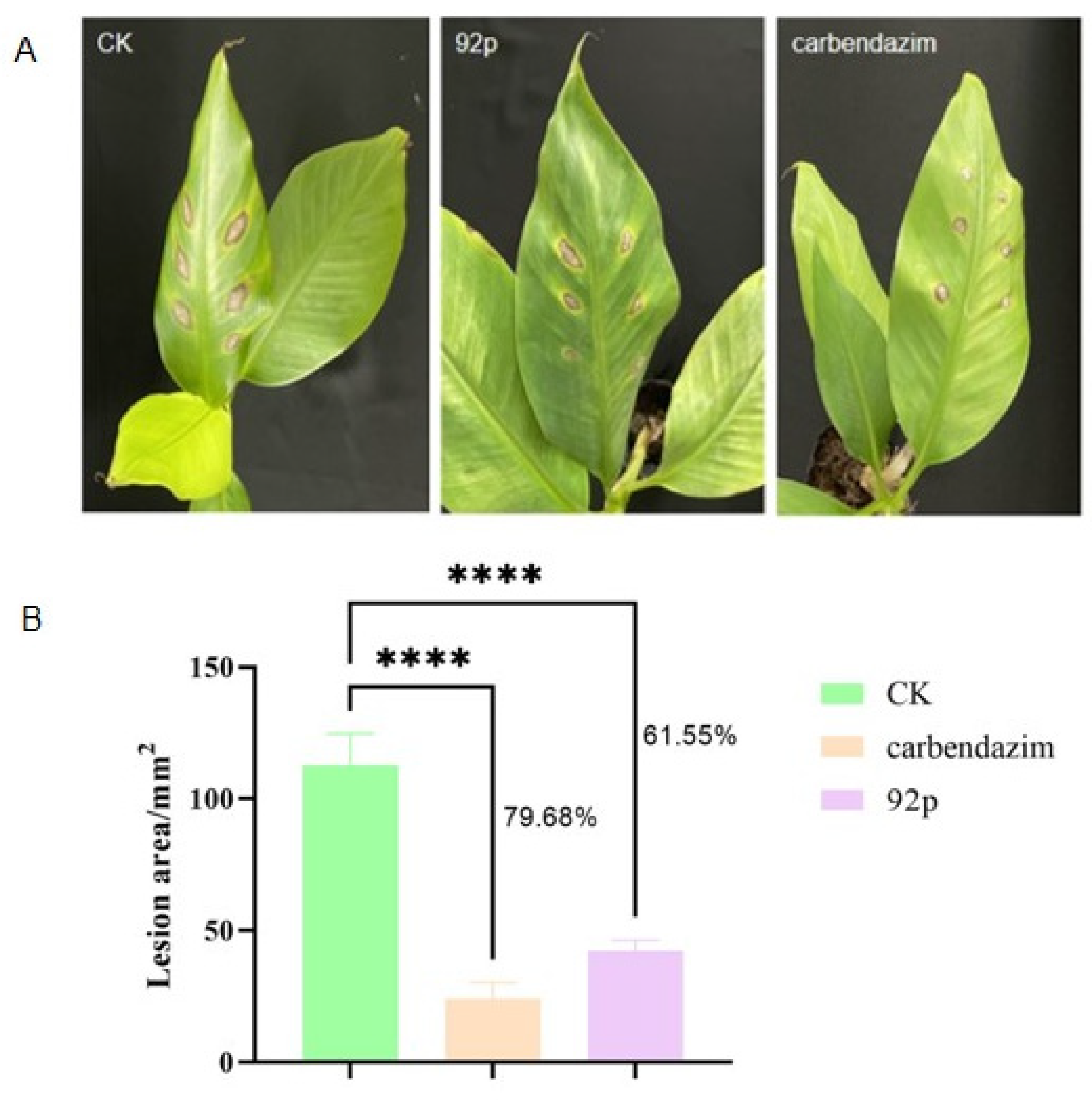 Biomolecules 14 01495 g004