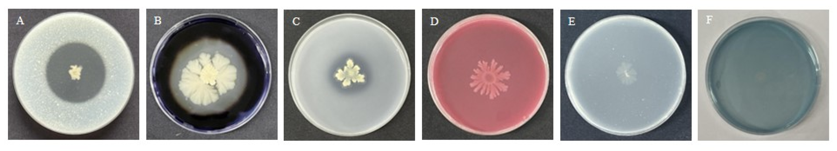 Biomolecules 14 01495 g006