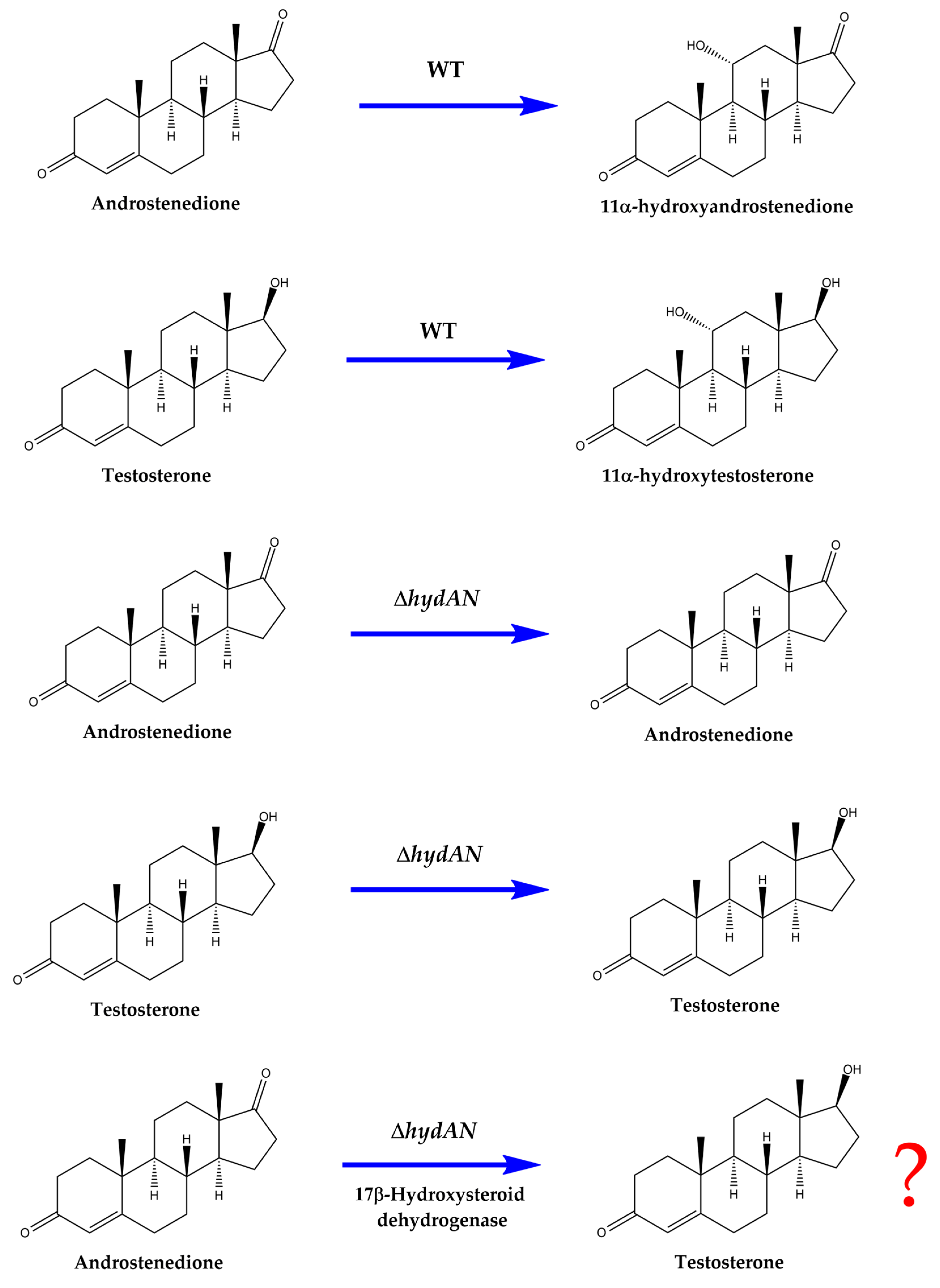 Biomolecules 14 01502 g001