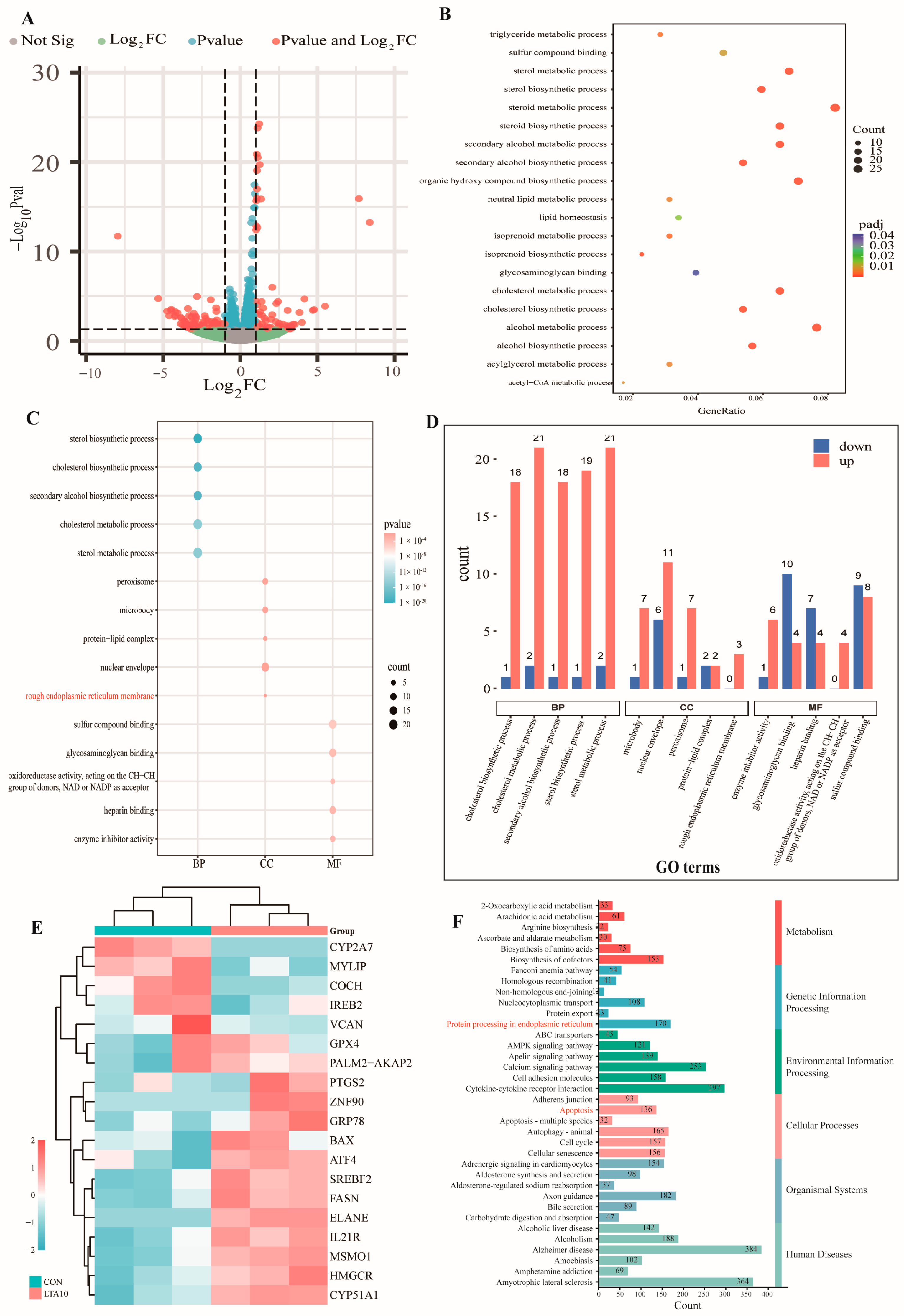 Biomolecules 14 01533 g001