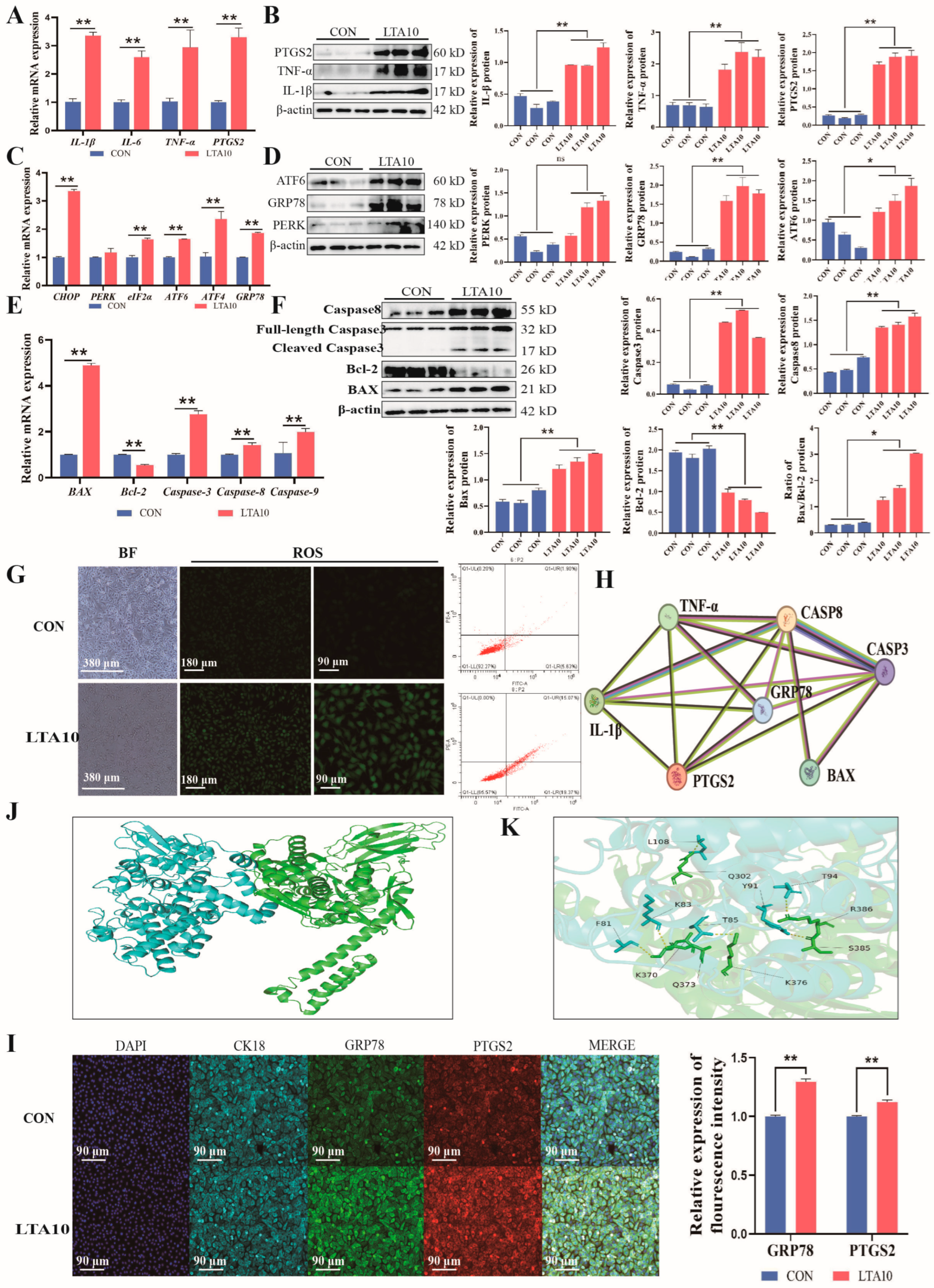 Biomolecules 14 01533 g002