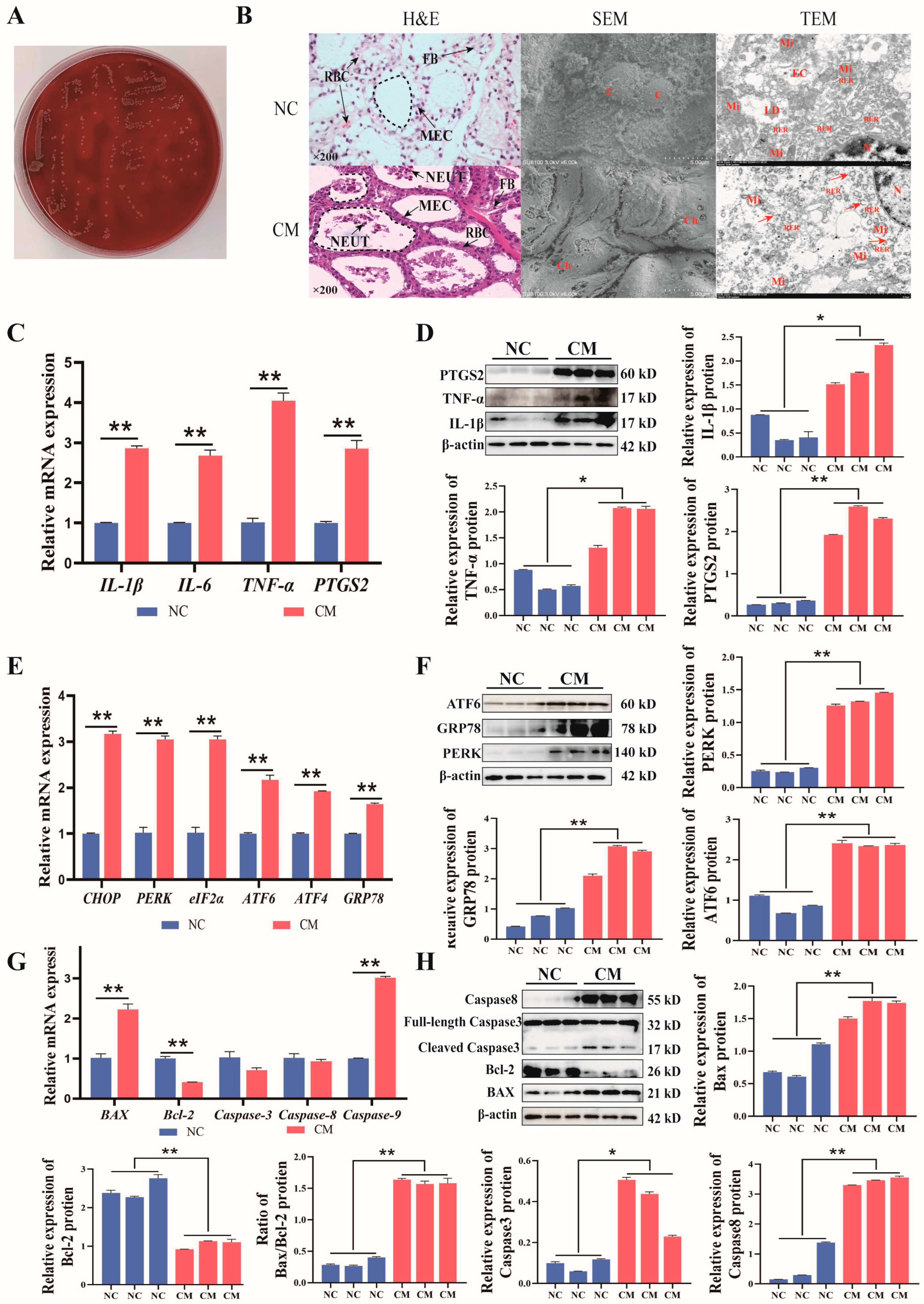 Biomolecules 14 01533 g005