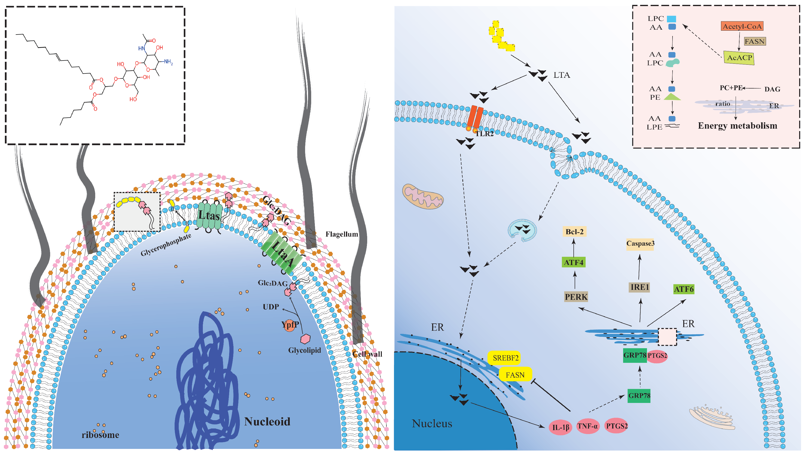 Biomolecules 14 01533 g006