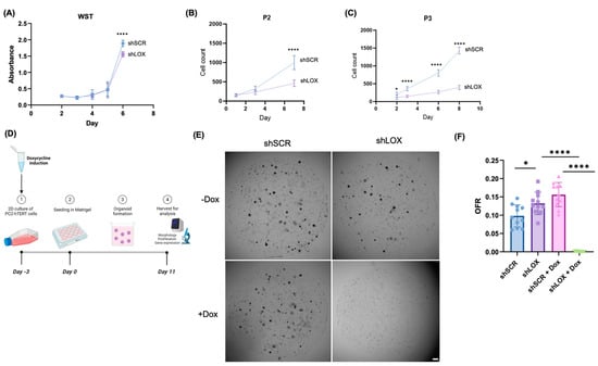 Biomolecules 14 01560 g001