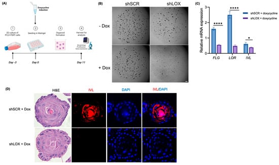 Biomolecules 14 01560 g002