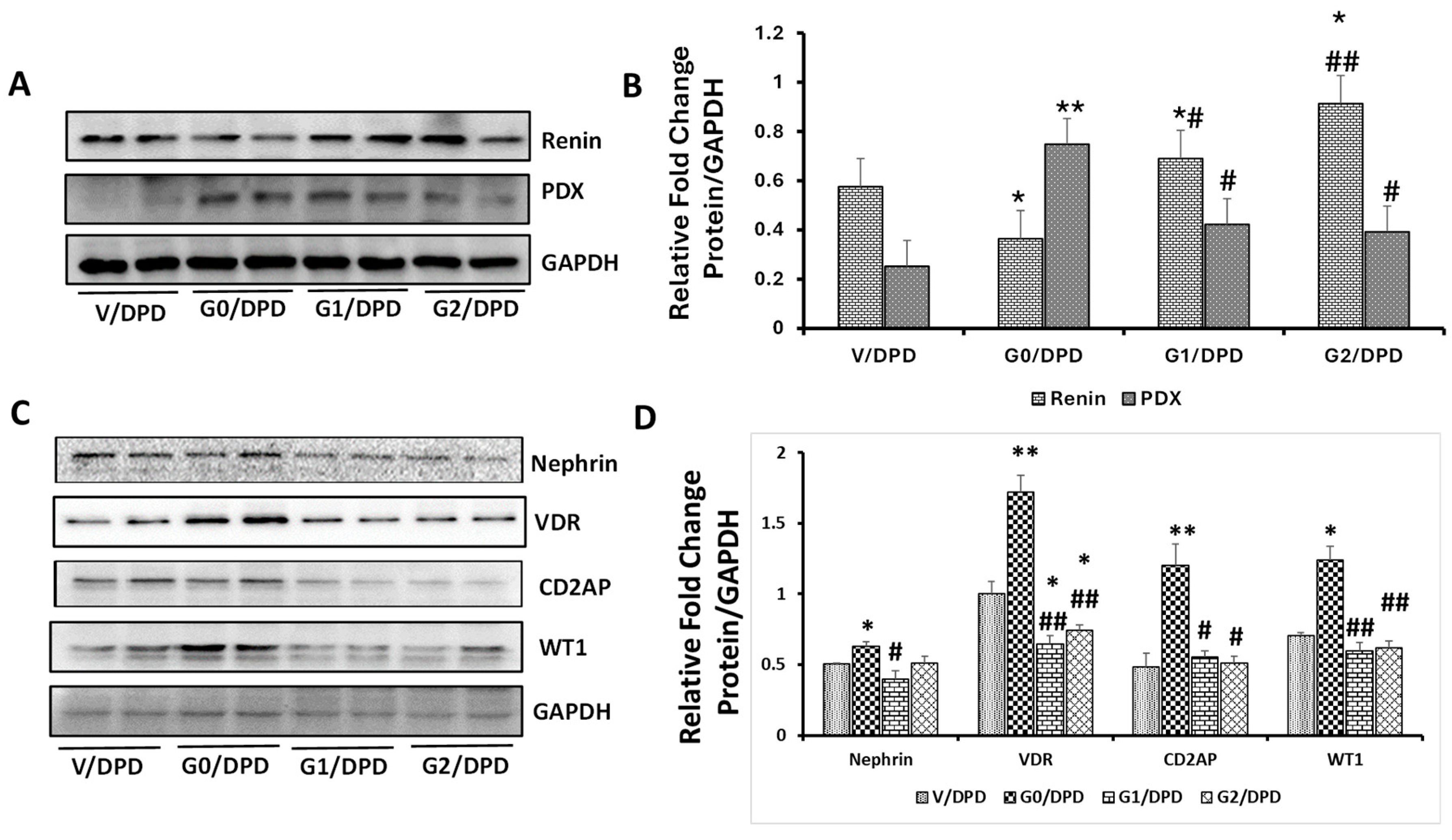 Biomolecules 14 01575 g001